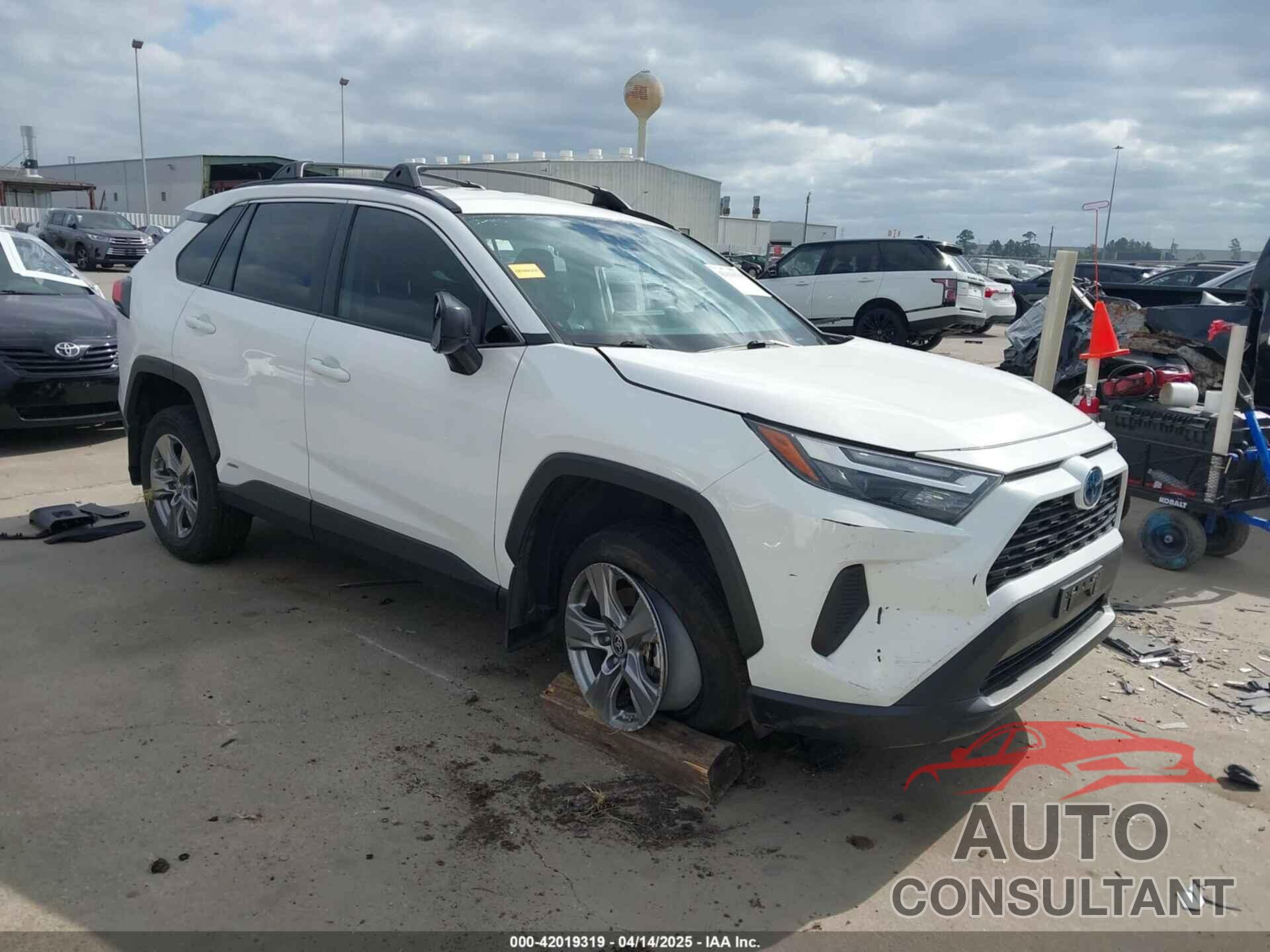 TOYOTA RAV4 HYBRID 2024 - 2T3LWRFV1RW199507