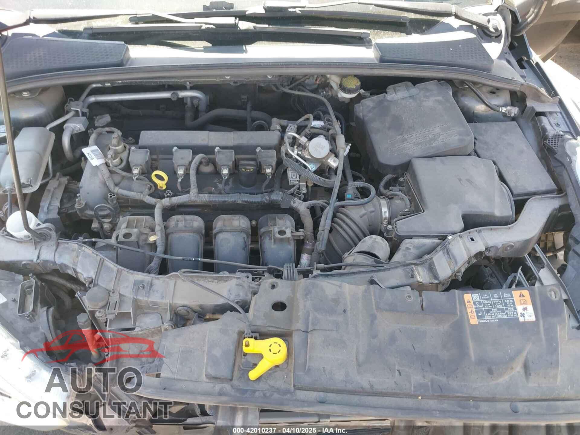 FORD FOCUS 2016 - 1FADP3F22GL369738