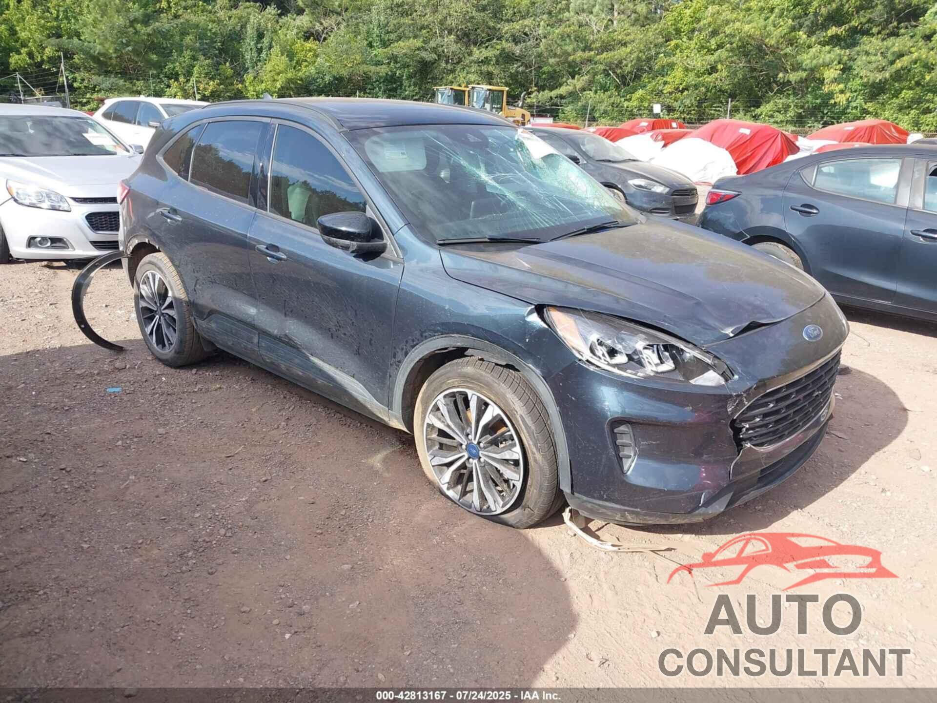 FORD ESCAPE 2022 - 1FMCU0G67NUB06131