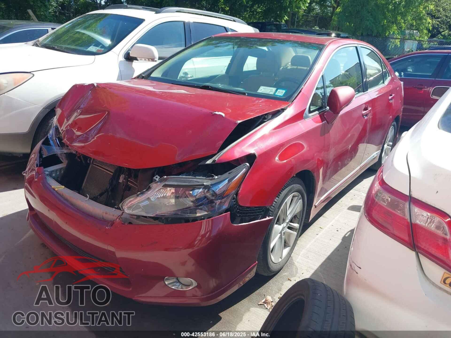 LEXUS HS 2010 - JTHBB1BA4A2011456