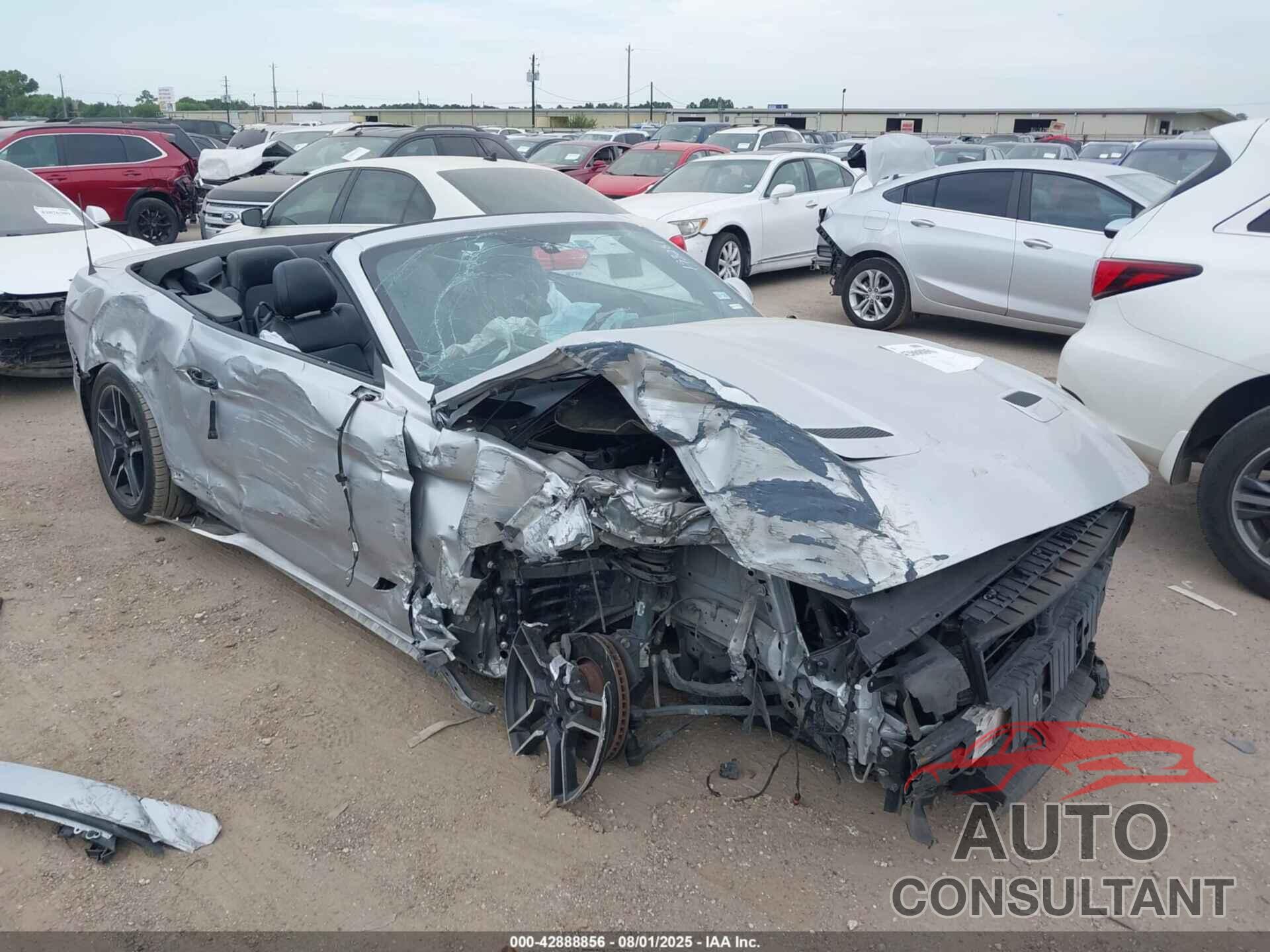 FORD MUSTANG 2019 - 1FATP8UH8K5148593
