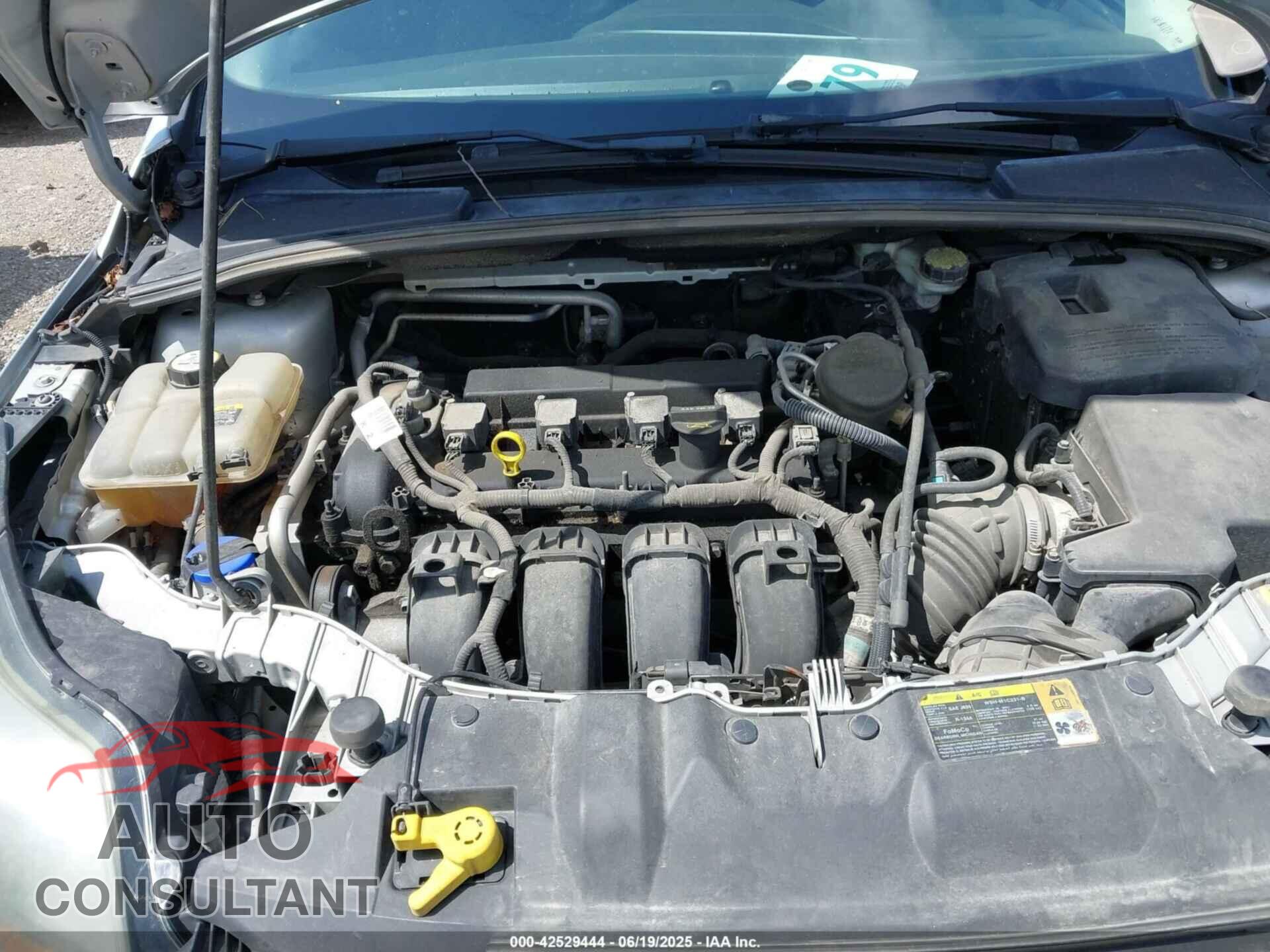 FORD FOCUS 2012 - 1FAHP3N2XCL293294