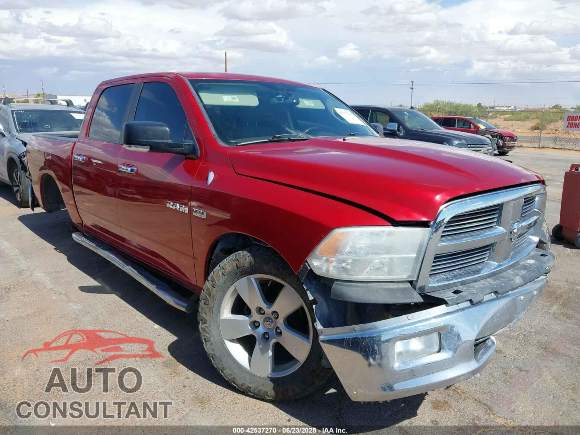 DODGE RAM 1500 2009 - 1D3HB13T89J502004