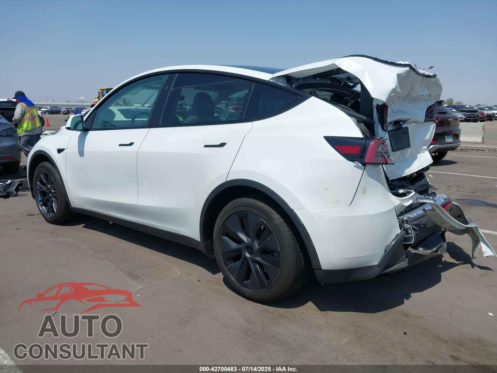 TESLA MODEL Y 2024 - 7SAYGDED8RF201955