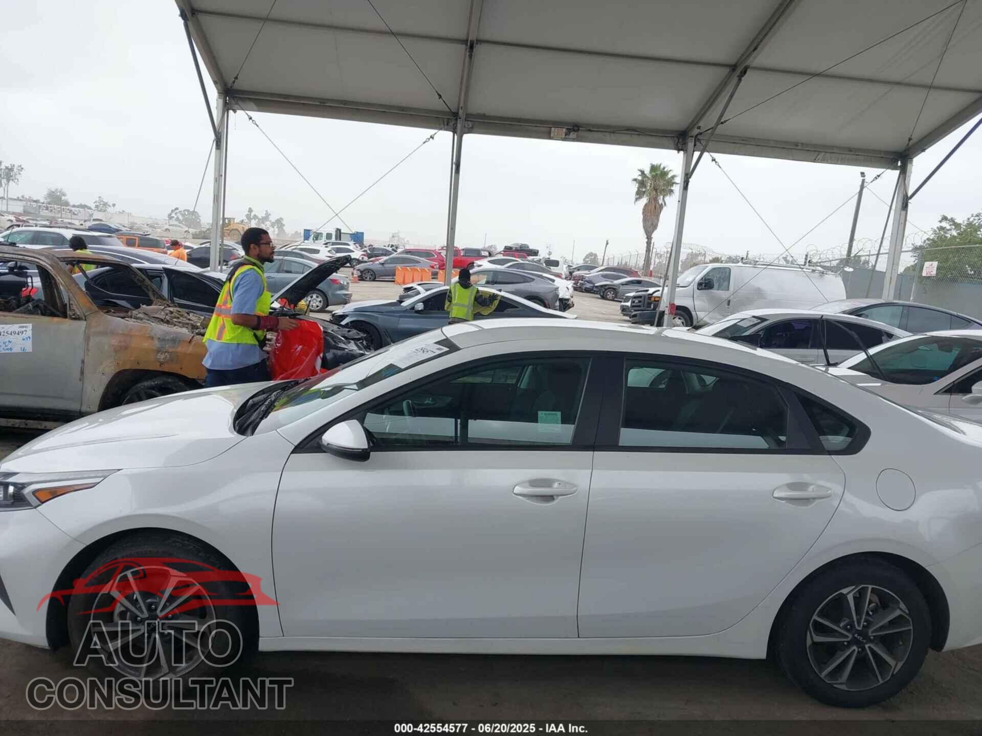KIA FORTE 2022 - 3KPF24AD9NE478204
