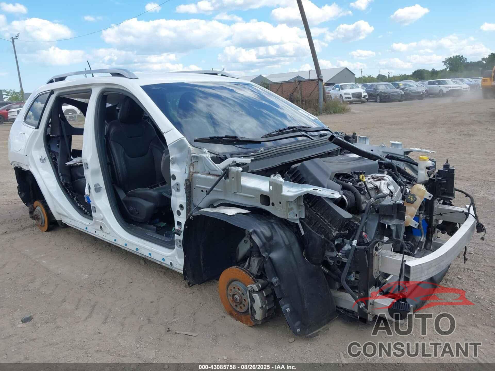 JEEP CHEROKEE 2020 - 1C4PJMDN5LD540532
