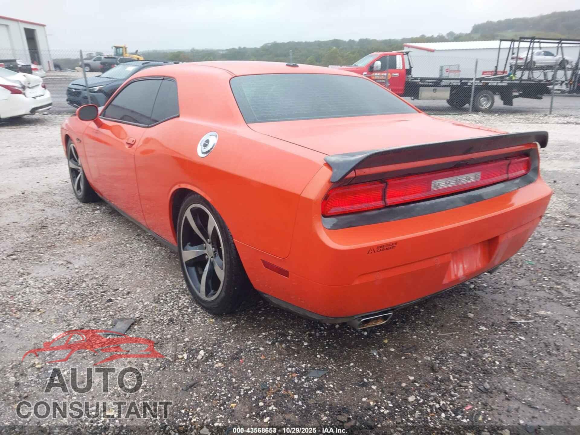 DODGE CHALLENGER 2013 - 2C3CDYBT7DH733689