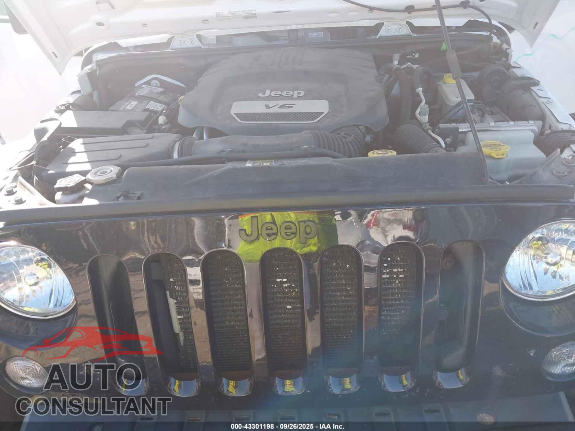 JEEP WRANGLER 2017 - 1C4AJWAG3HL539366
