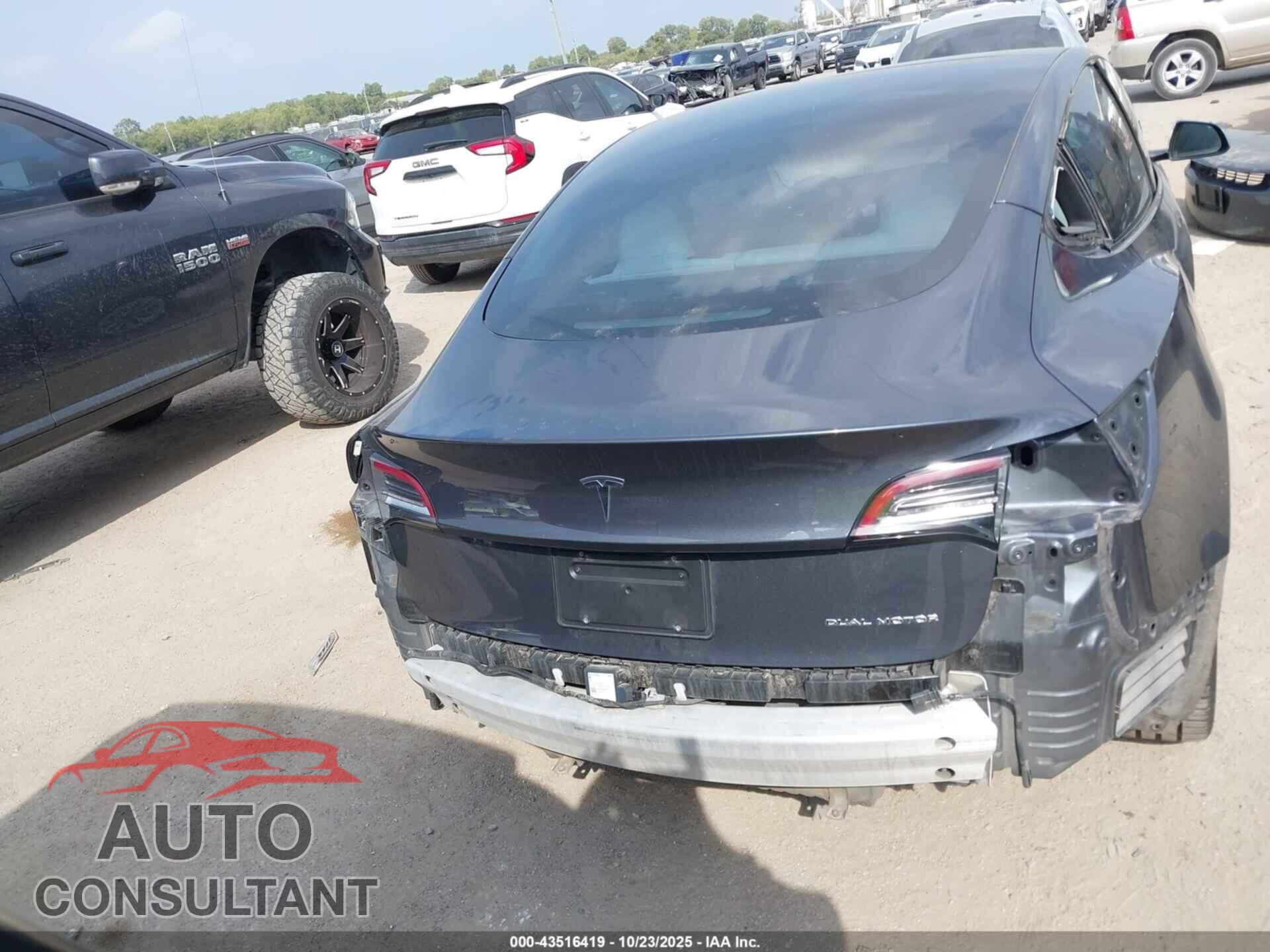 TESLA MODEL 3 2021 - 5YJ3E1EB0MF062004