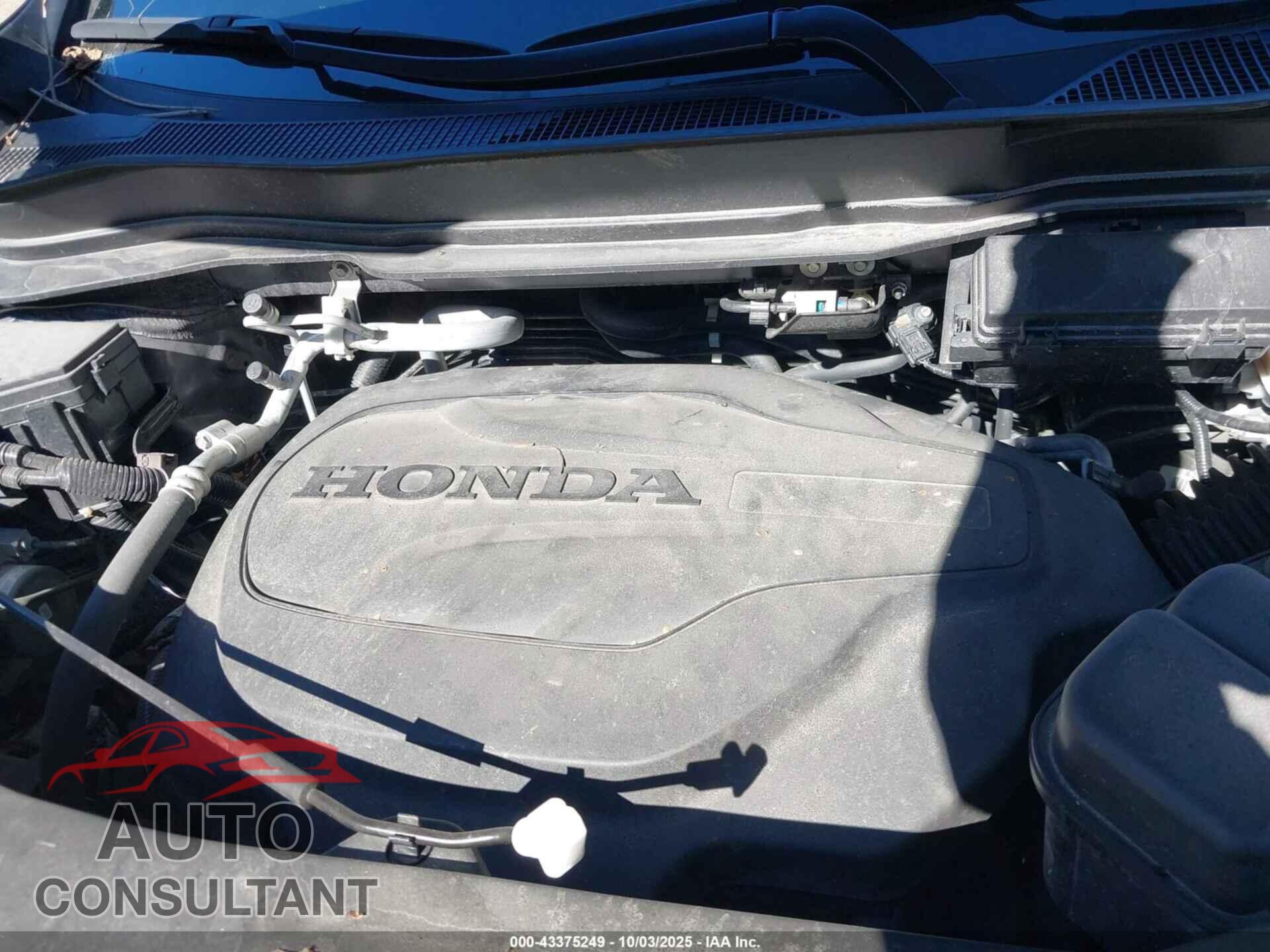 HONDA RIDGELINE 2021 - 5FPYK3F57MB004983