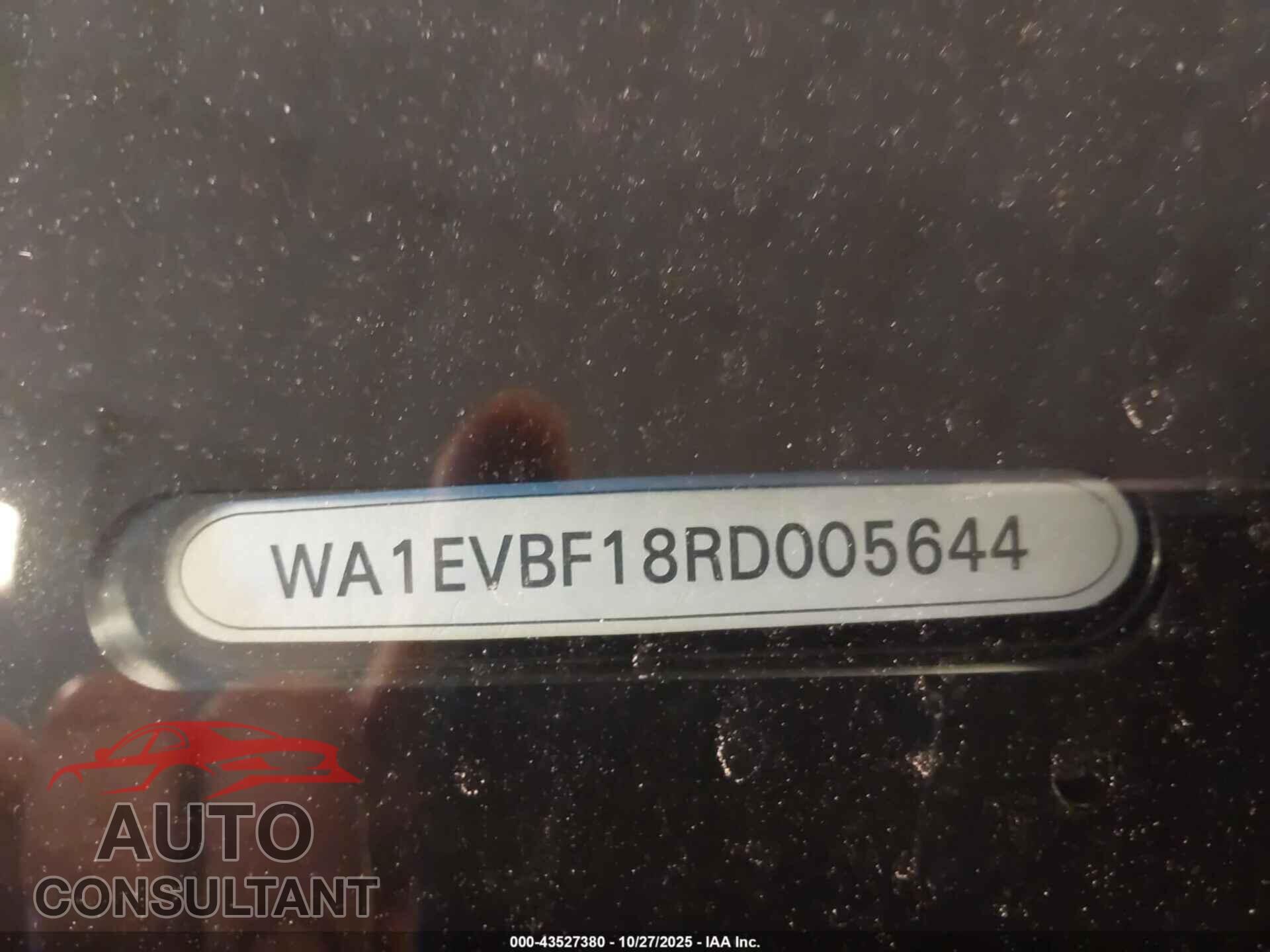 AUDI Q8 2024 - WA1EVBF18RD005644