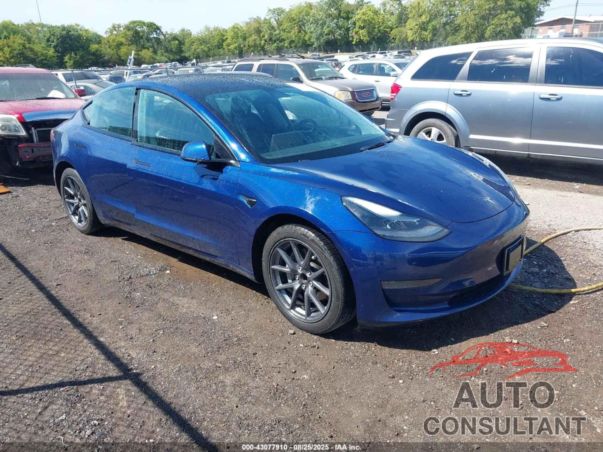 TESLA MODEL 3 2021 - 5YJ3E1EA9MF093954