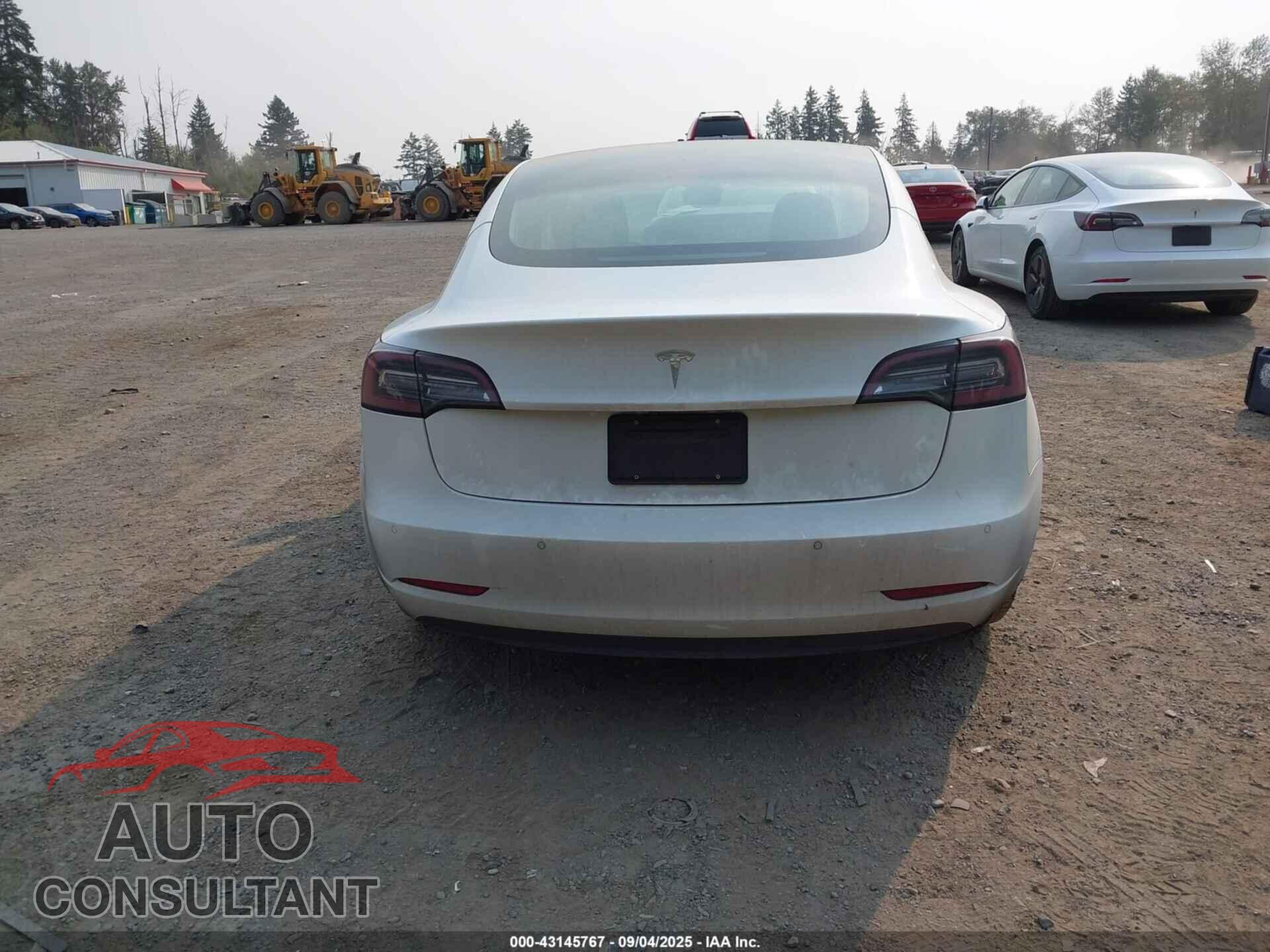 TESLA MODEL 3 2020 - 5YJ3E1EA2LF634261