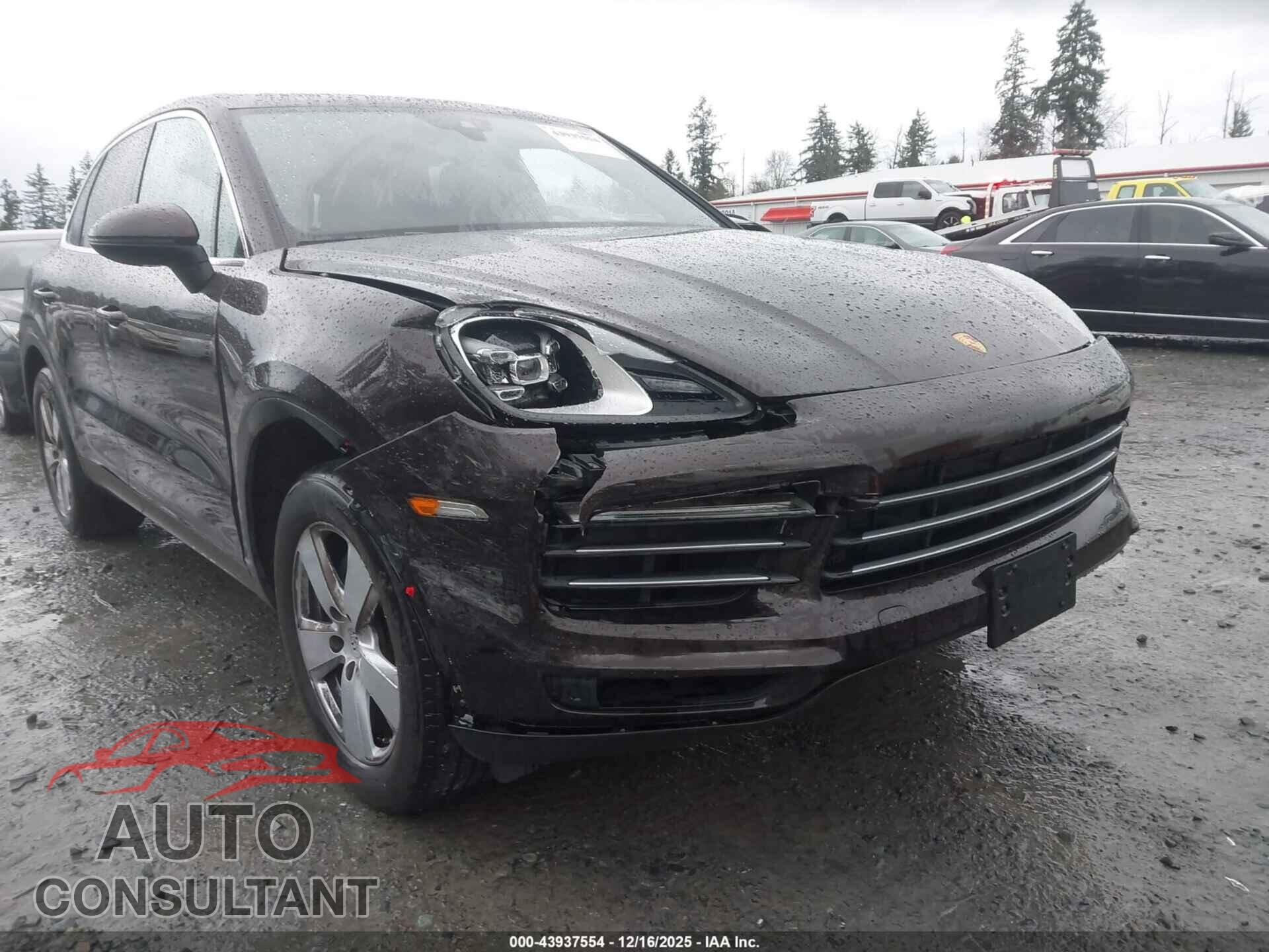 PORSCHE CAYENNE 2019 - WP1AA2AY9KDA01840