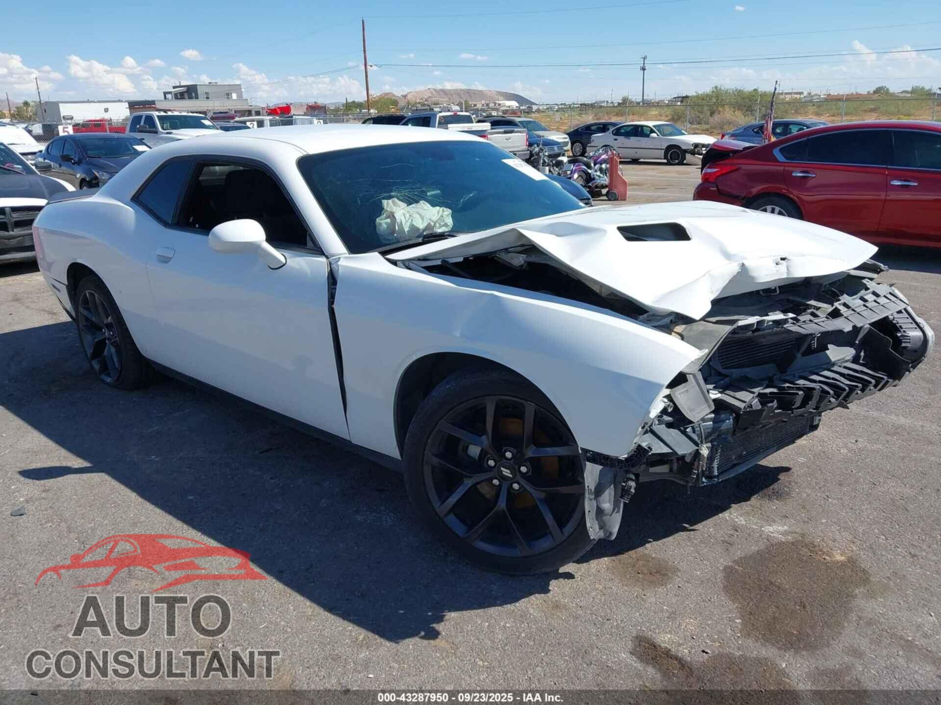 DODGE CHALLENGER 2019 - 2C3CDZAG9KH538412