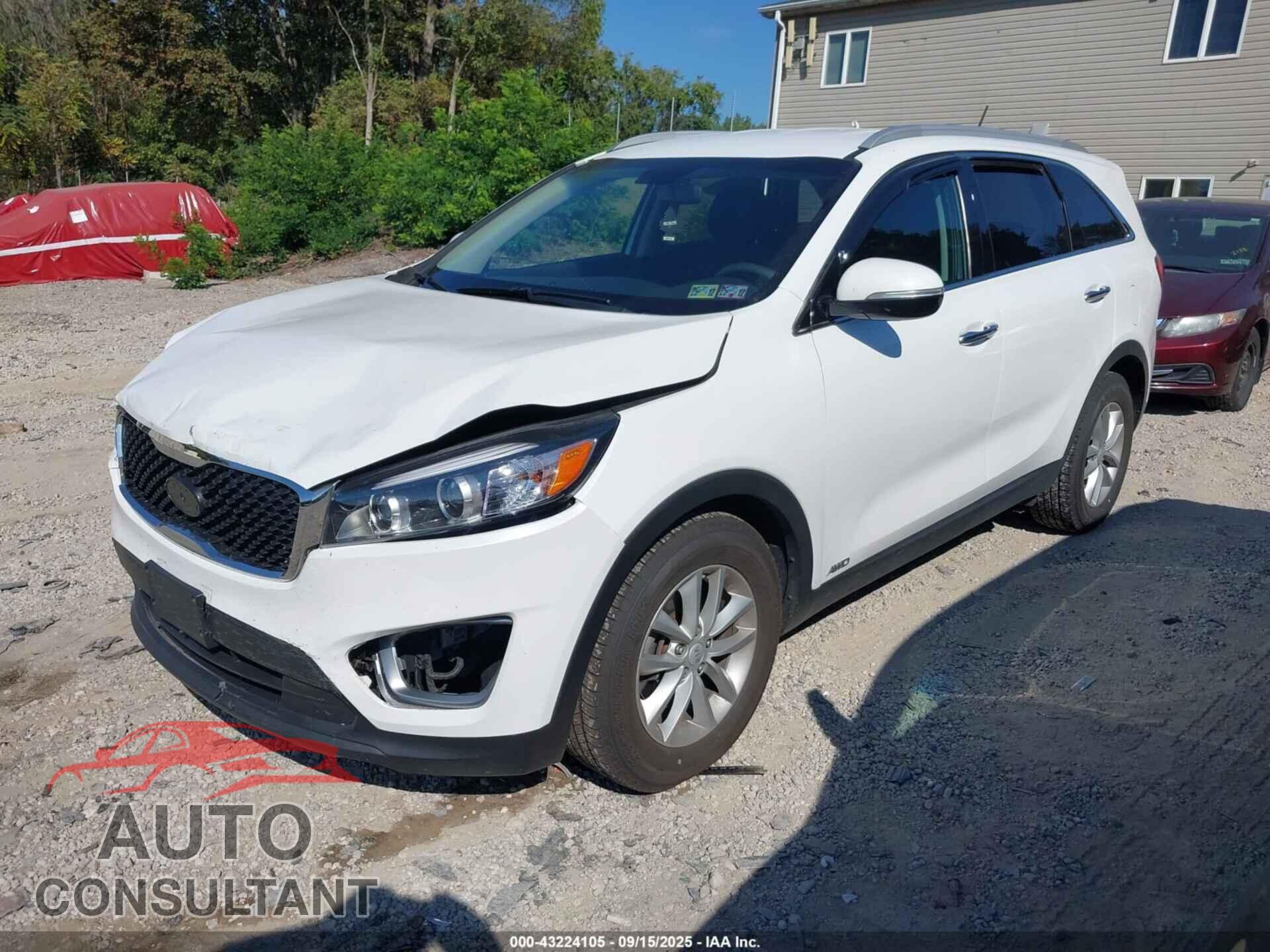 KIA SORENTO 2017 - 5XYPGDA56HG191103