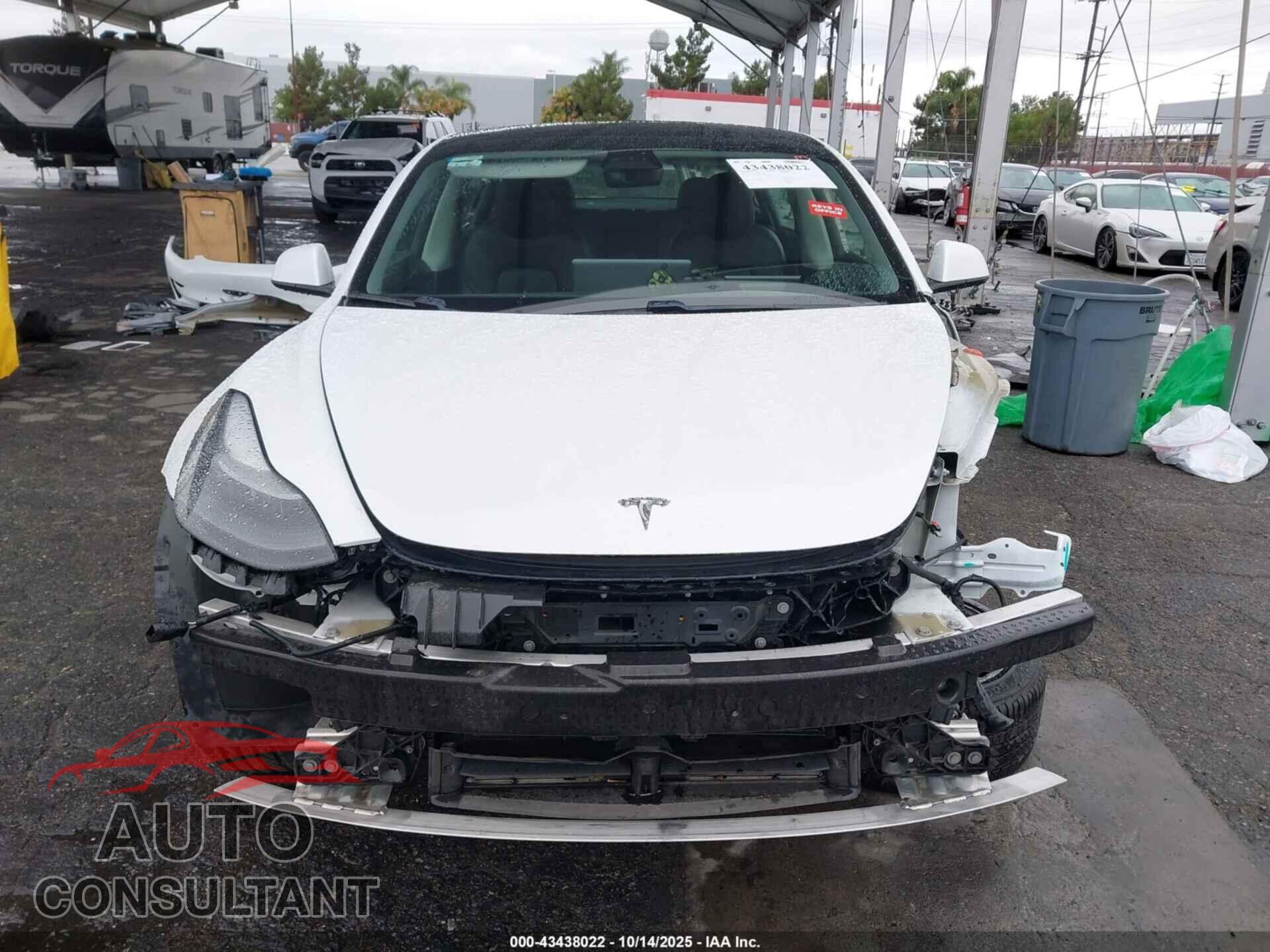 TESLA MODEL 3 2021 - 5YJ3E1EA3MF982541