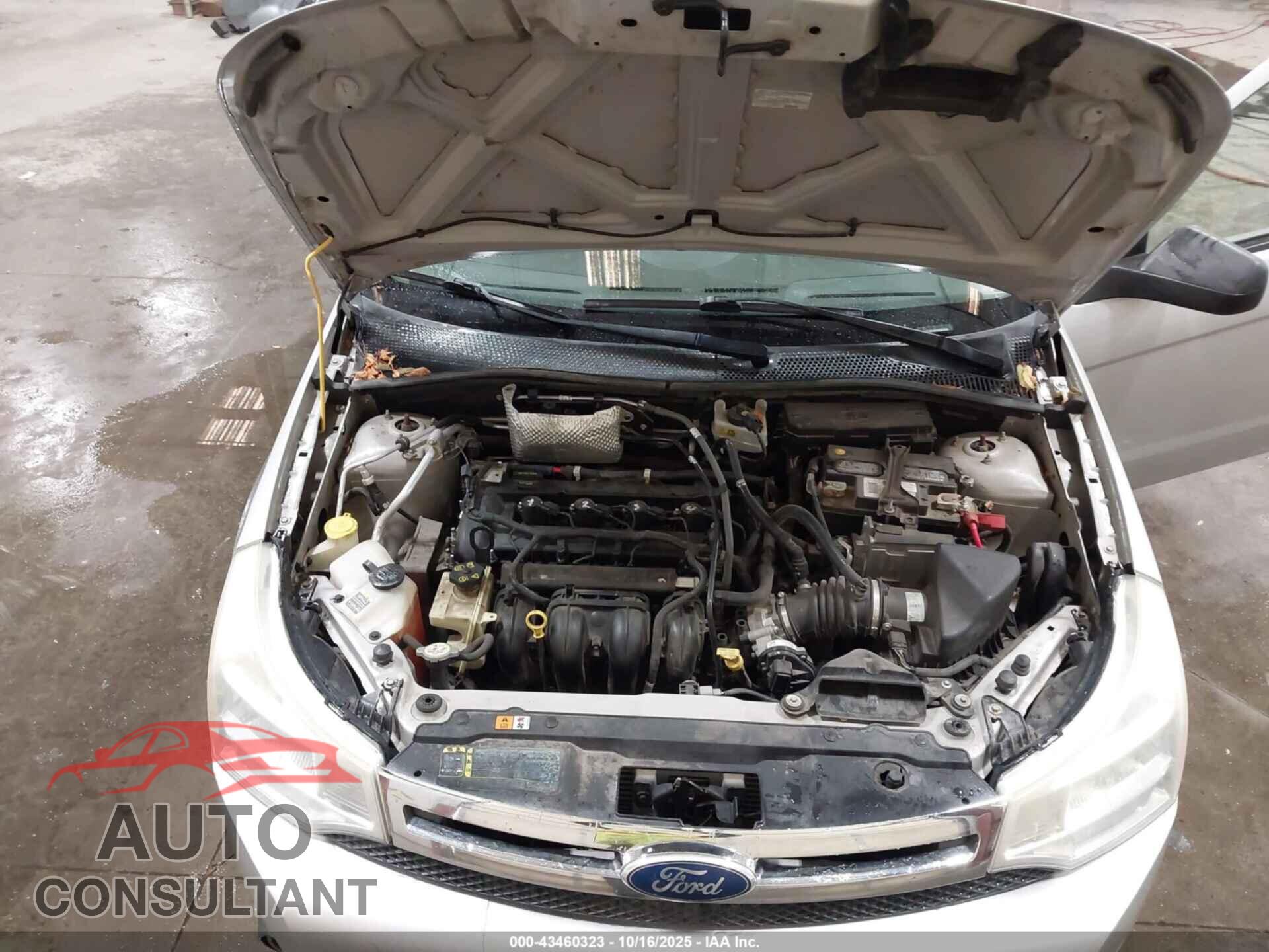 FORD FOCUS 2011 - 1FAHP3FN1BW149249