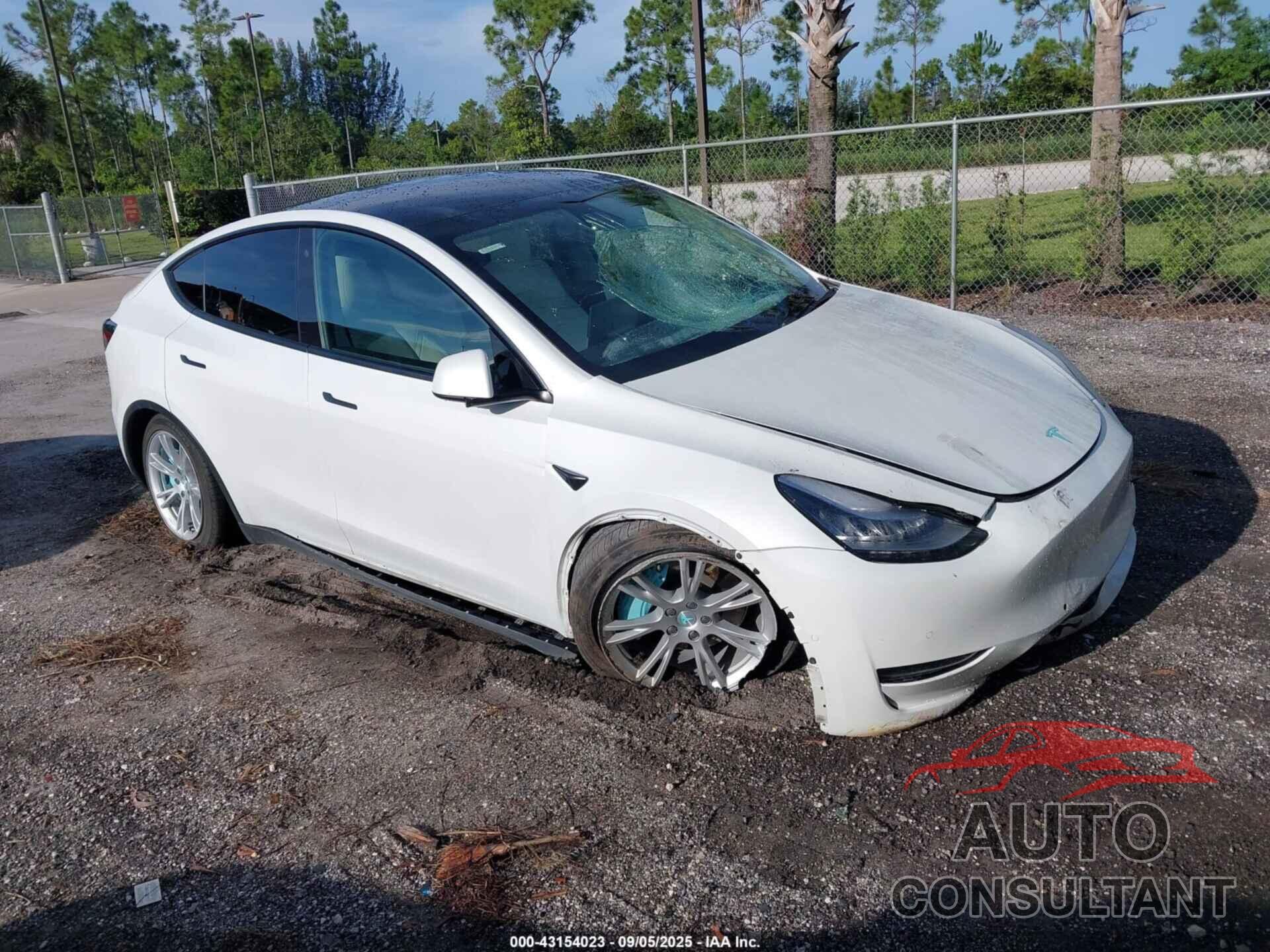 TESLA MODEL Y 2020 - 5YJYGDEE1LF053466