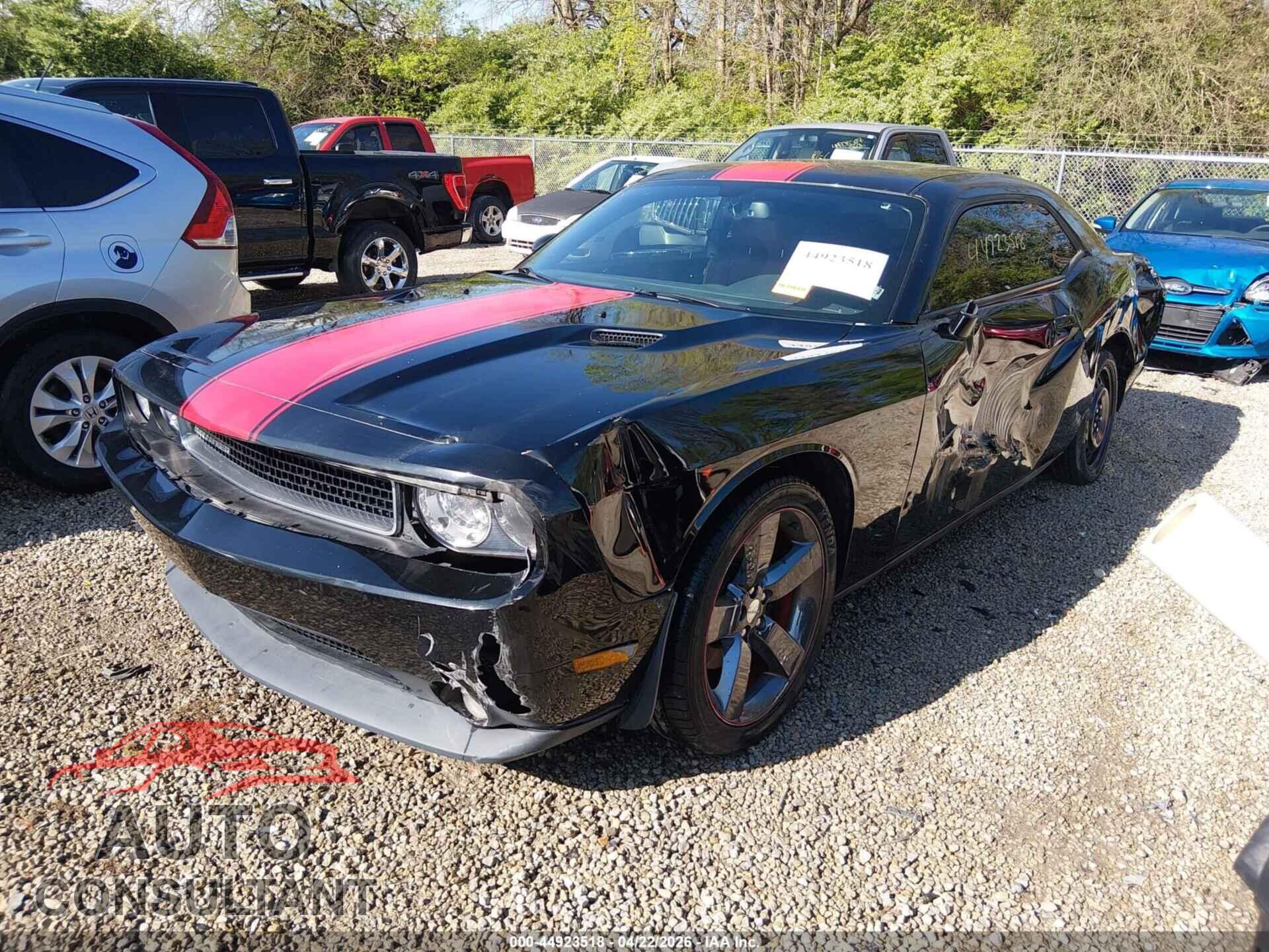 DODGE CHALLENGER 2013 - 2C3CDYAG9DH520098