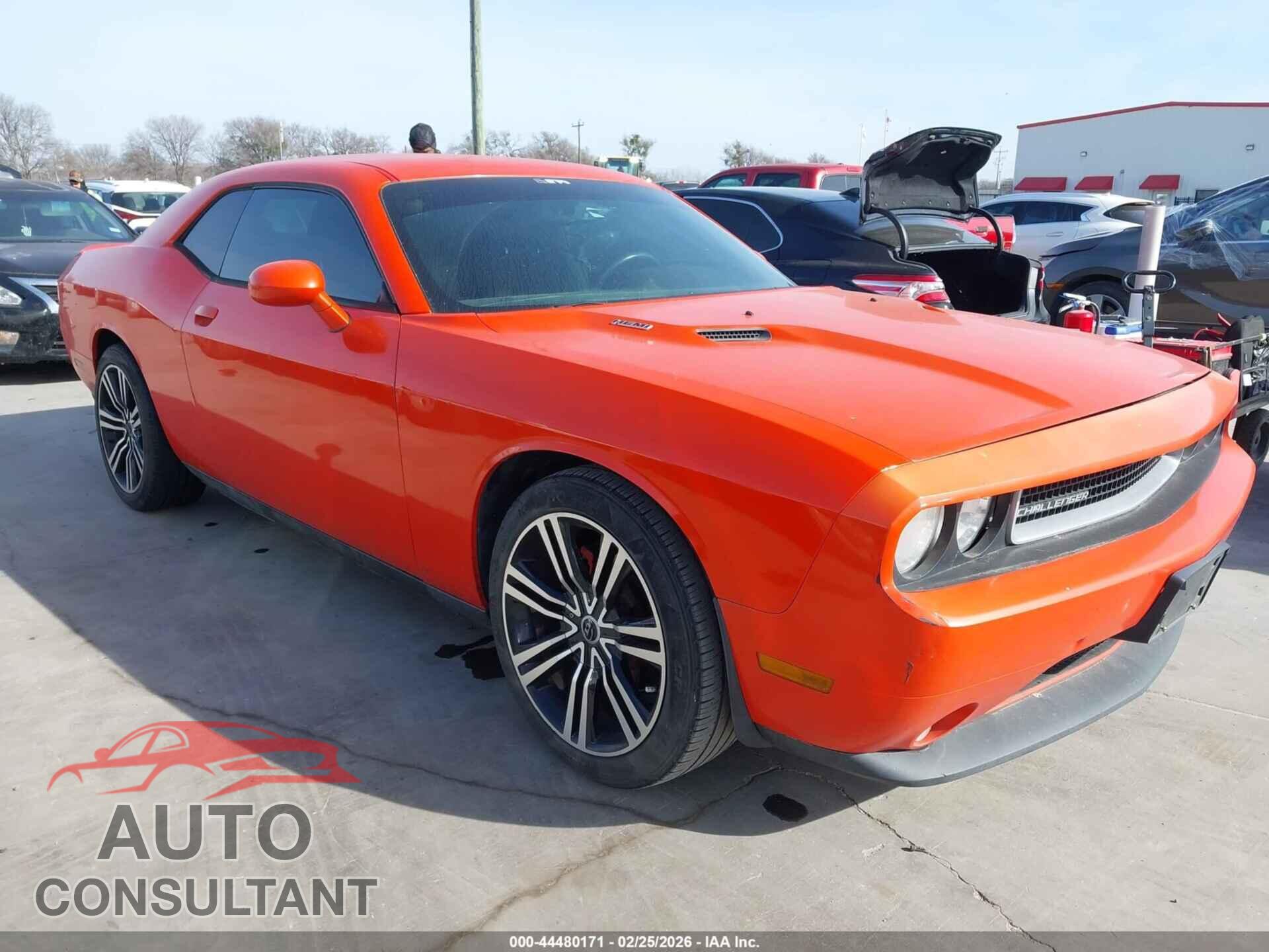 DODGE CHALLENGER 2013 - 2C3CDYBT3DH736461