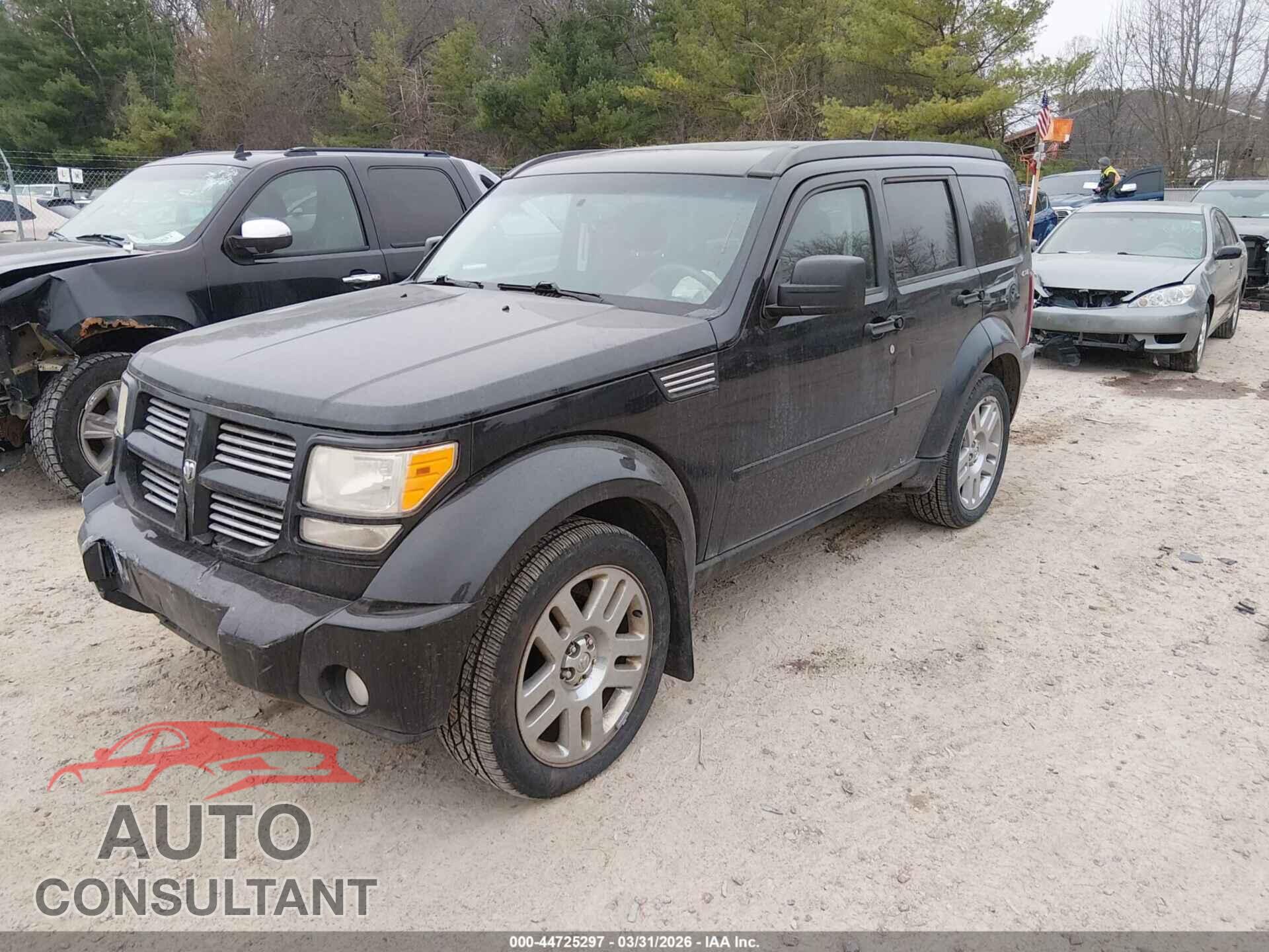 DODGE NITRO 2011 - 1D4PU4GX0BW517430