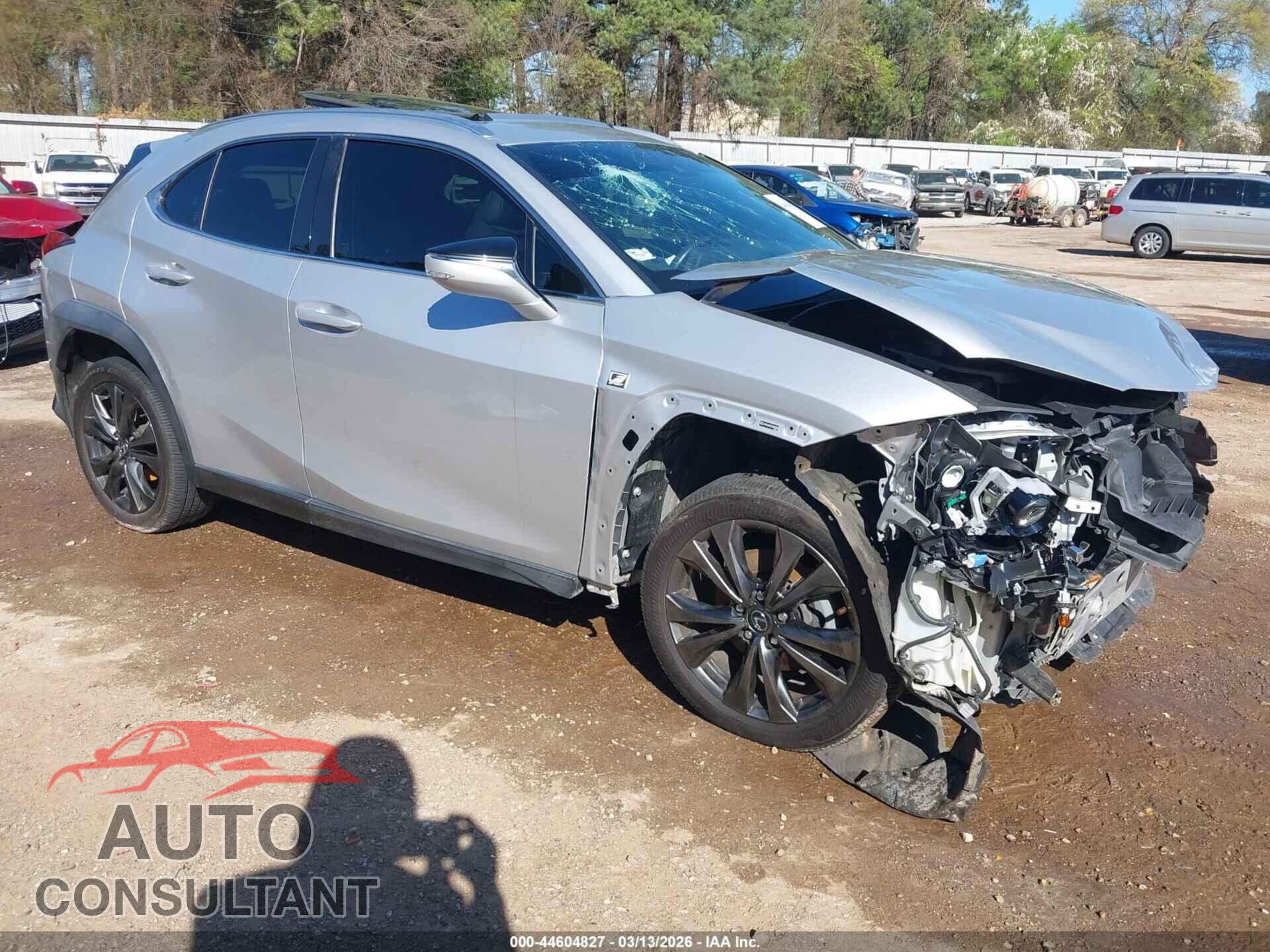 LEXUS UX 200 2019 - JTHY3JBH7K2000909