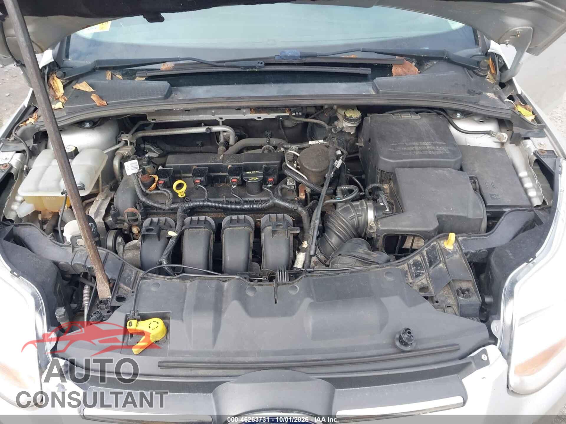 FORD FOCUS 2014 - 1FADP3F29EL337124