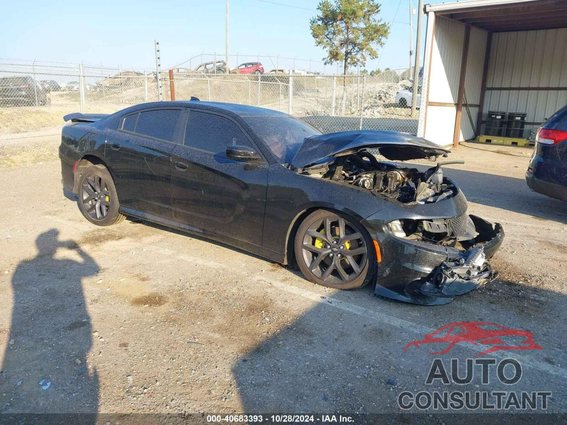 DODGE CHARGER 2019 - 2C3CDXHG1KH713763