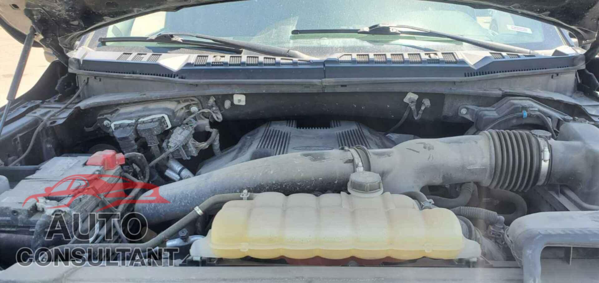 FORD F150 2019 - 1FTEW1E4XKFA80574