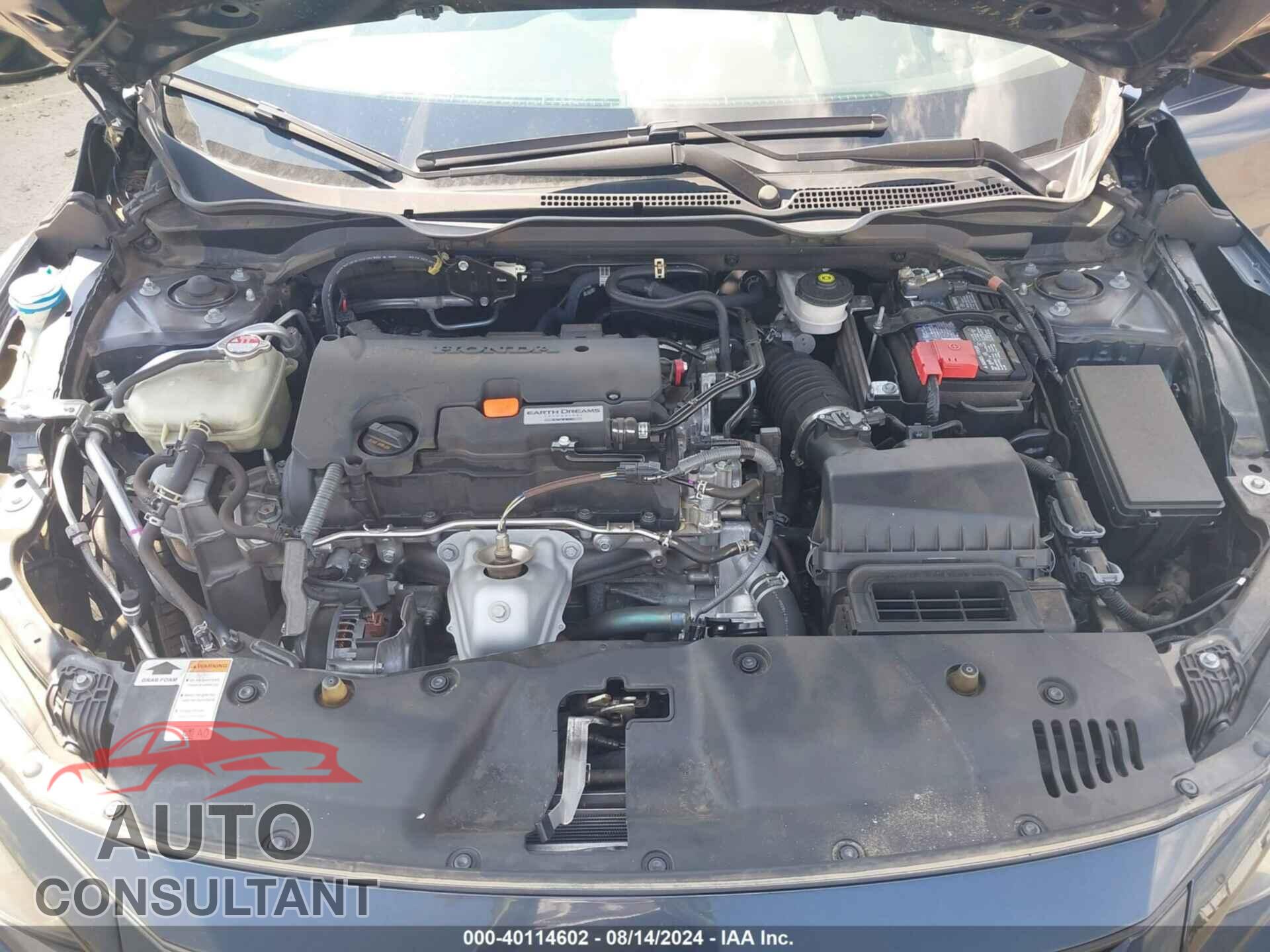 HONDA CIVIC 2021 - 2HGFC2F66MH522305