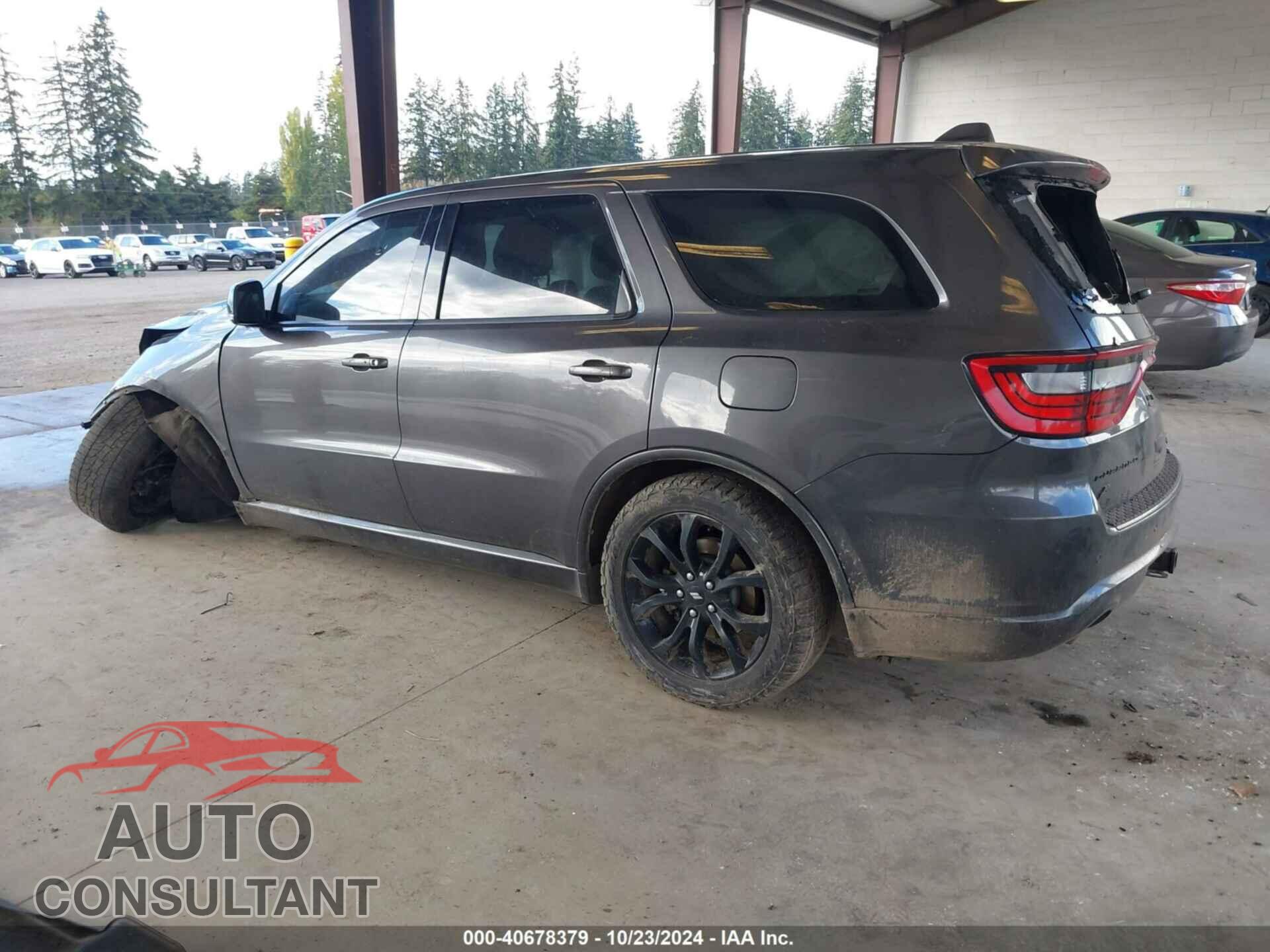 DODGE DURANGO 2019 - 1C4SDJCT3KC795541