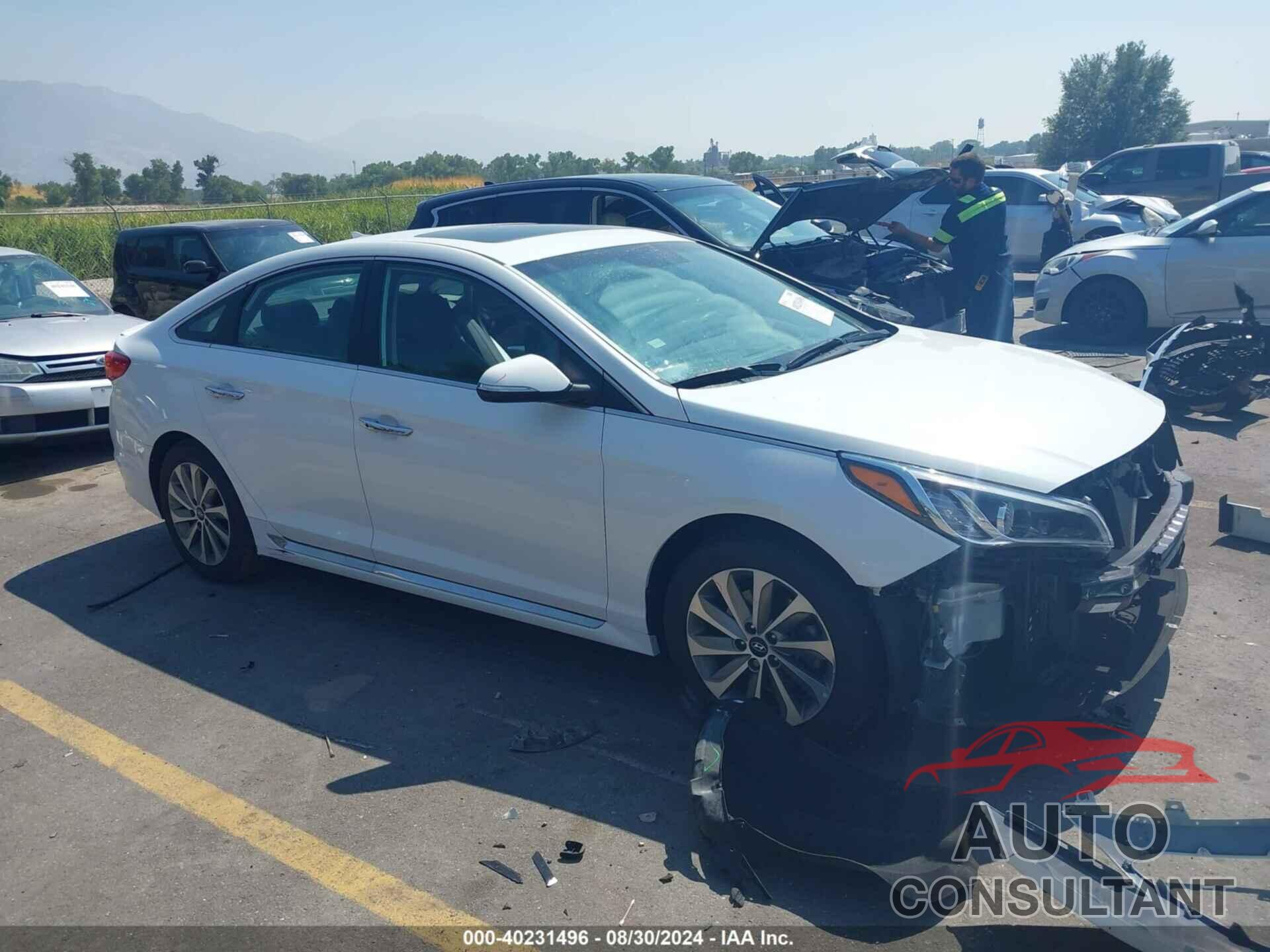 HYUNDAI SONATA 2017 - 5NPE34AF3HH479925