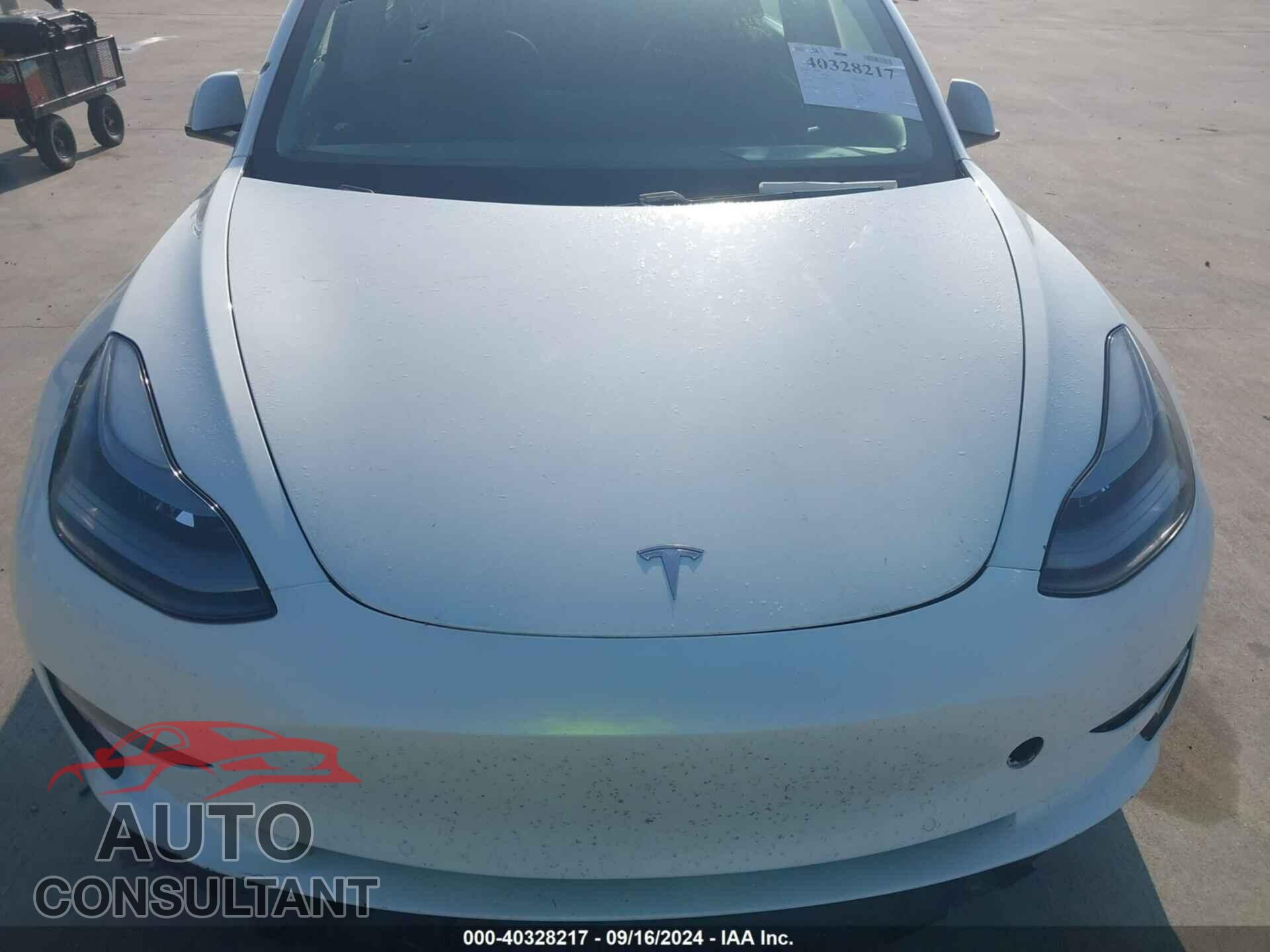 TESLA MODEL 3 2021 - 5YJ3E1EA5MF017616