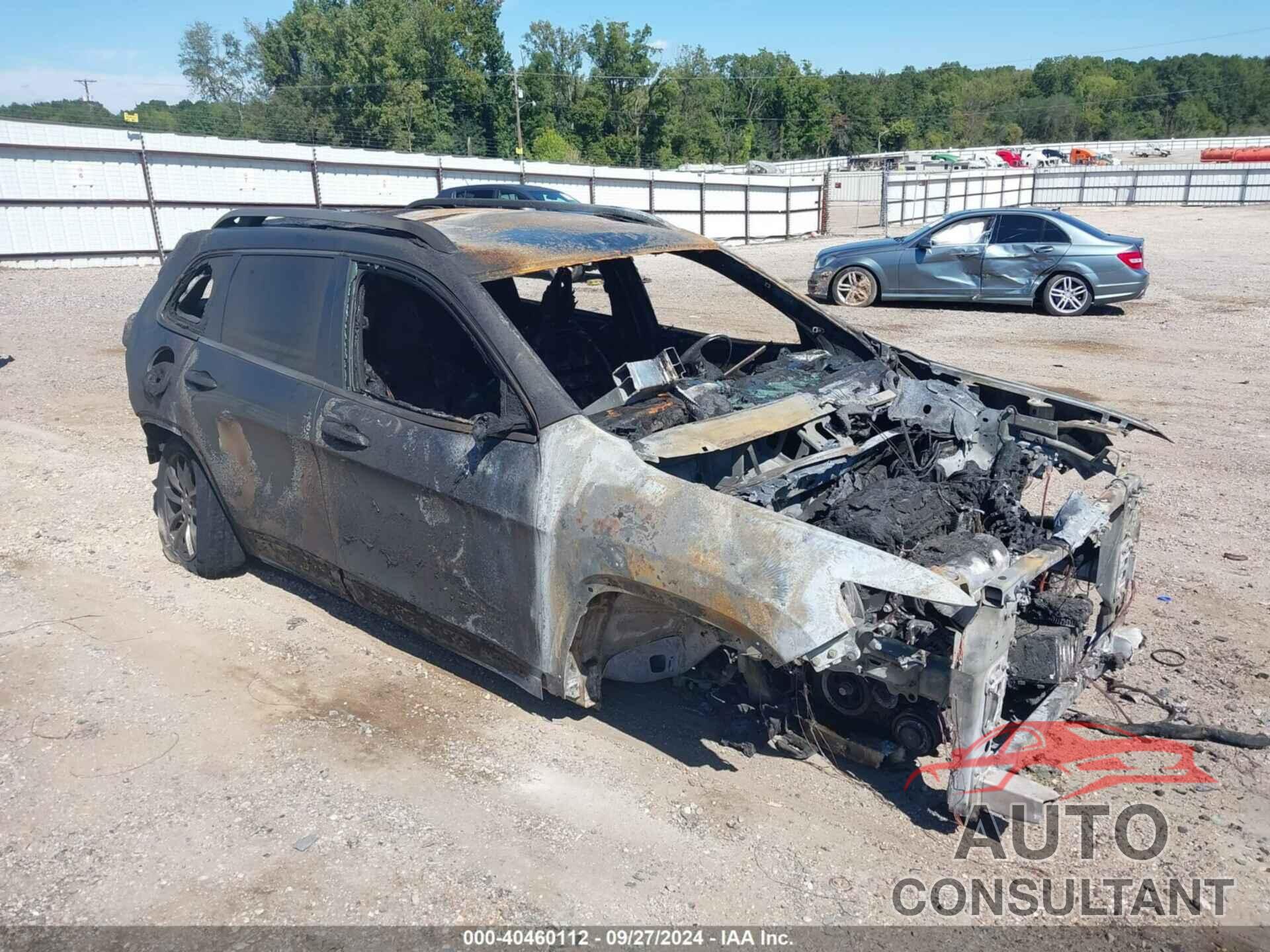 JEEP CHEROKEE 2020 - 1C4PJLLB1LD541890
