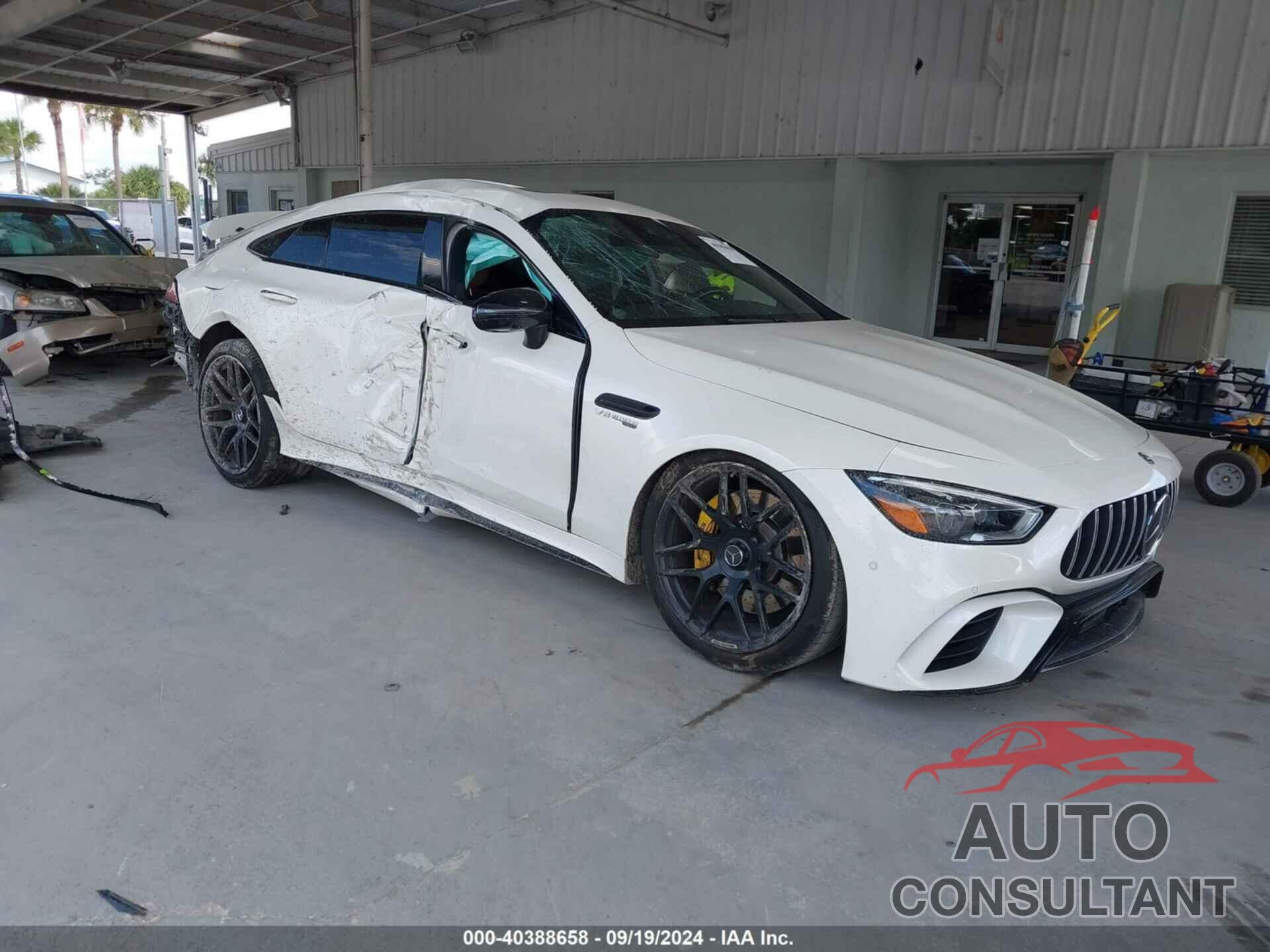 MERCEDES-BENZ AMG GT 63 4-DOOR COUPE 2019 - WDD7X8KB3KA001377