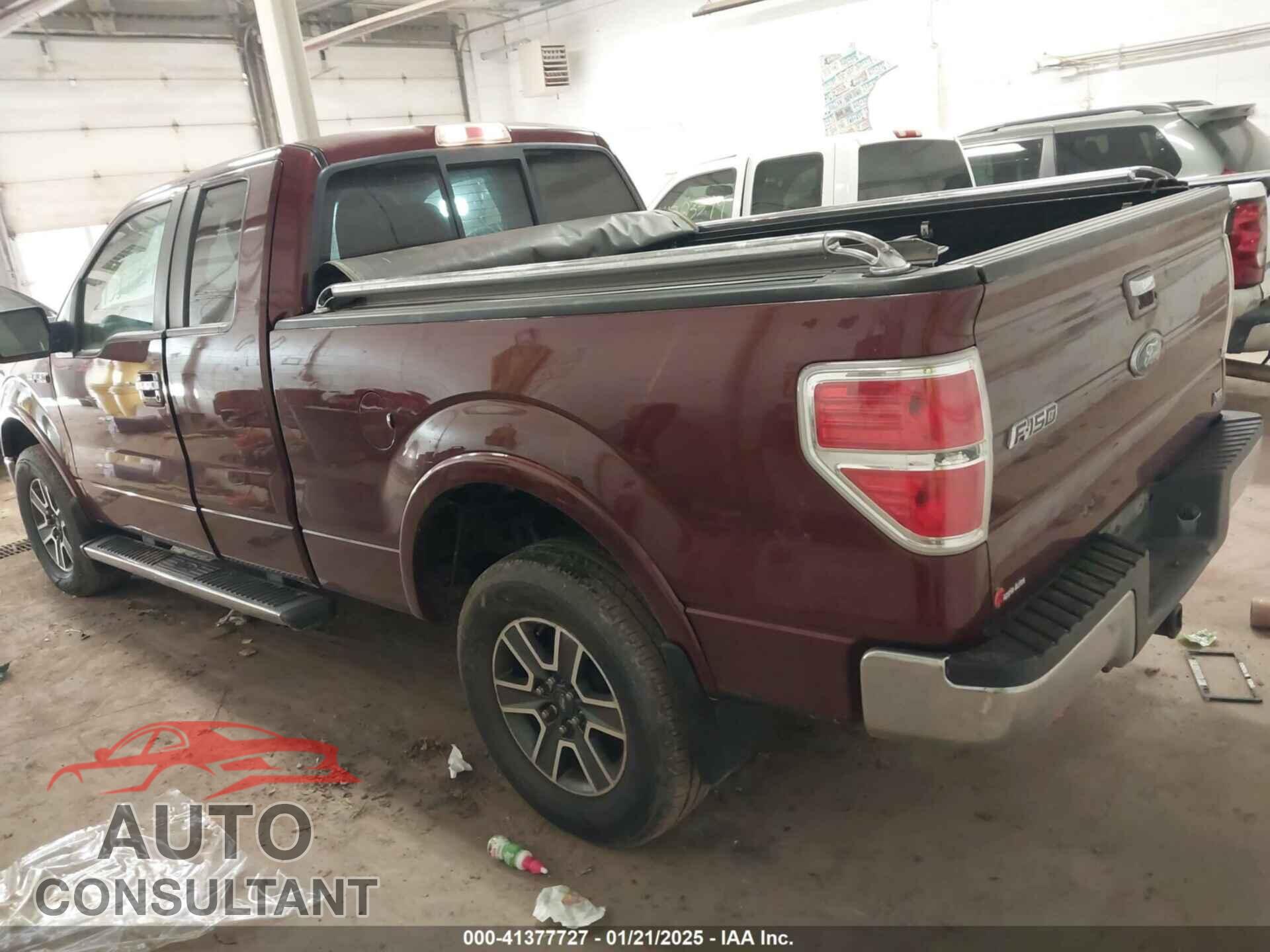 FORD F-150 2010 - 1FTFX1EV7AKE08159