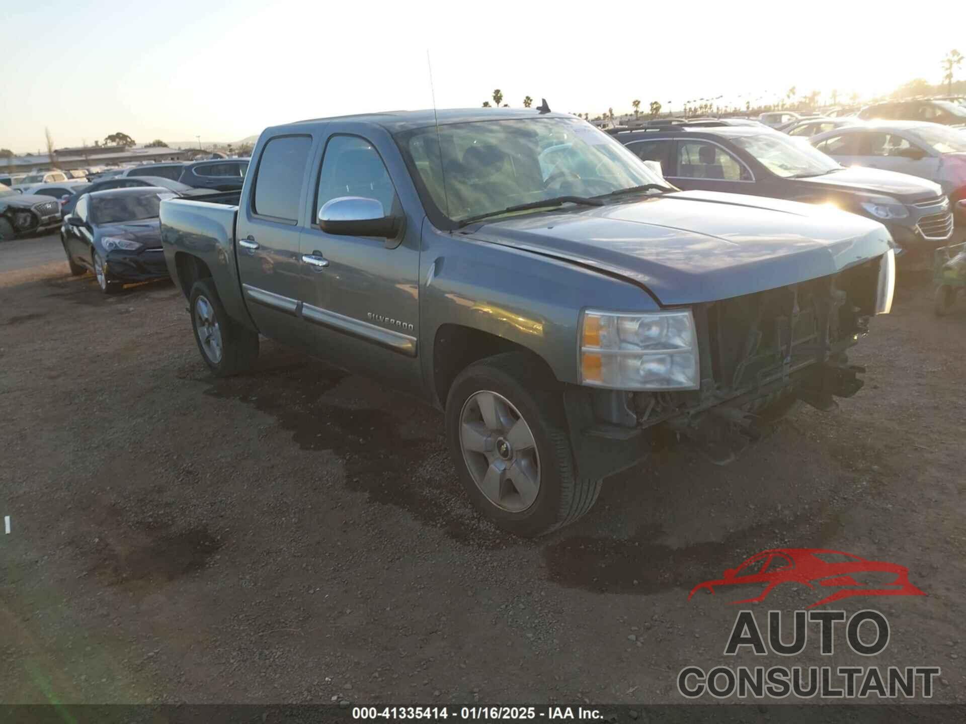 CHEVROLET SILVERADO 1500 2010 - 3GCRCSE02AG299913