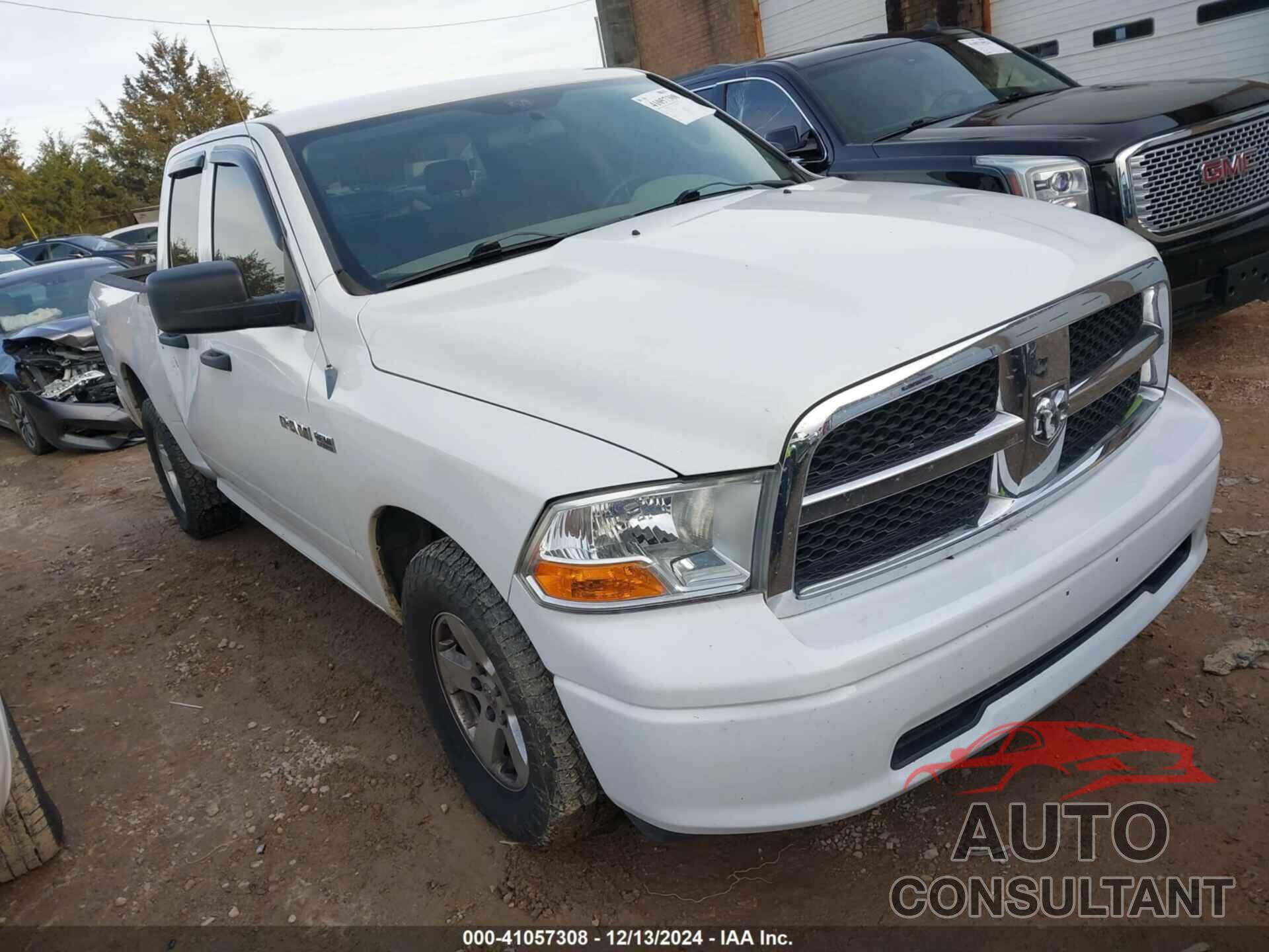 DODGE RAM 1500 2010 - 1D7RV1GT5AS174107