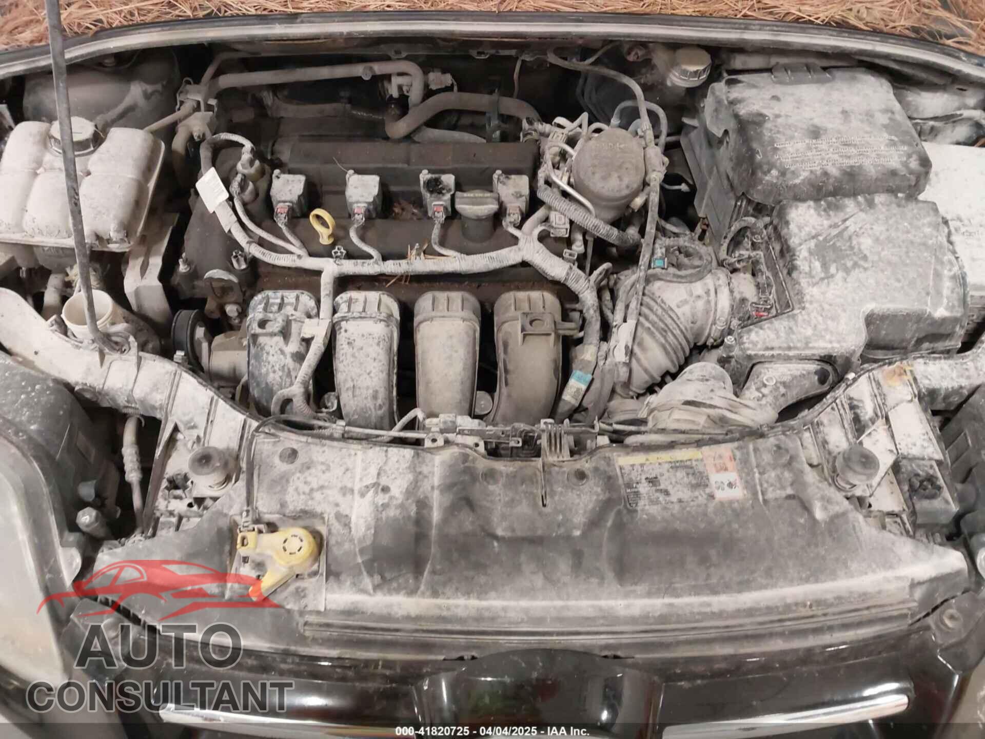 FORD FOCUS 2013 - 1FADP3J26DL221384