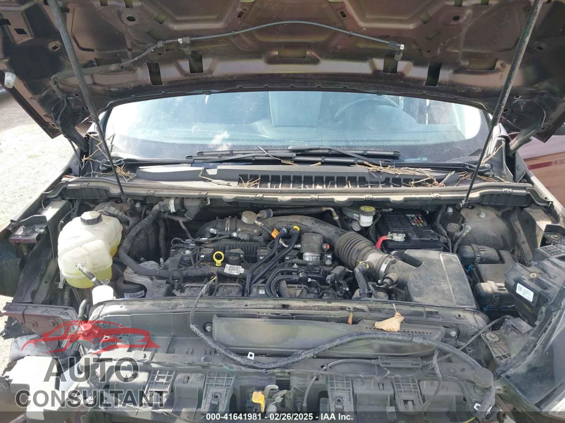 FORD EDGE 2019 - 2FMPK3J96KBC43882