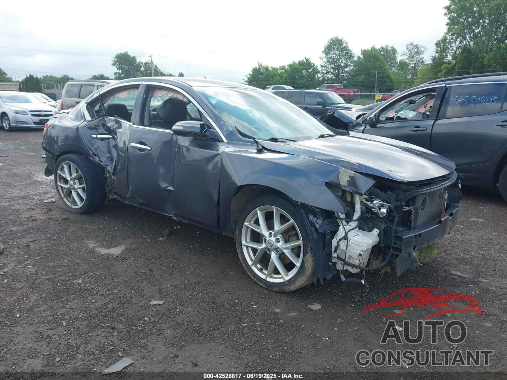 NISSAN MAXIMA 2009 - 1N4AA51E29C830859