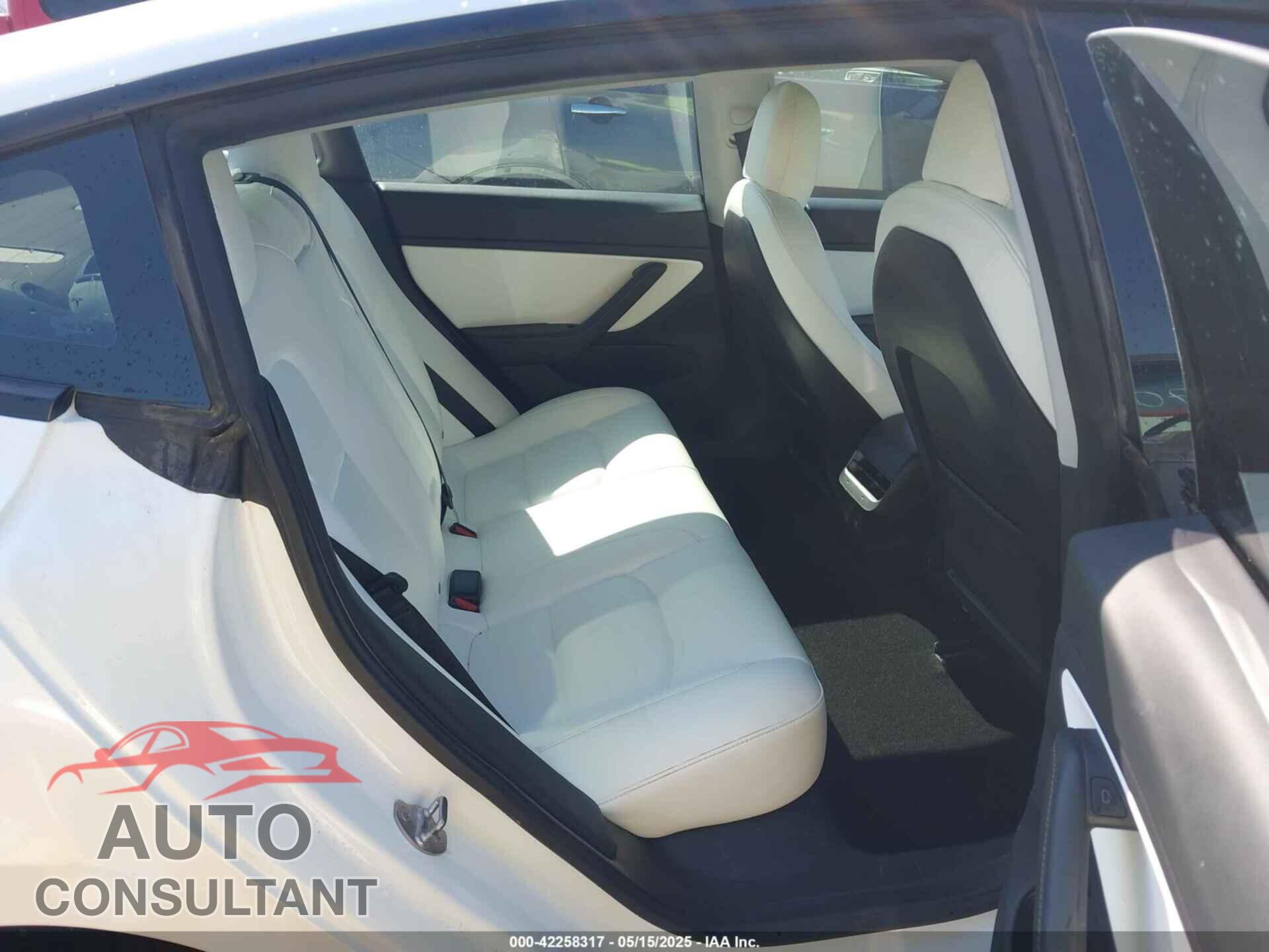TESLA MODEL 3 2021 - 5YJ3E1EC7MF919282