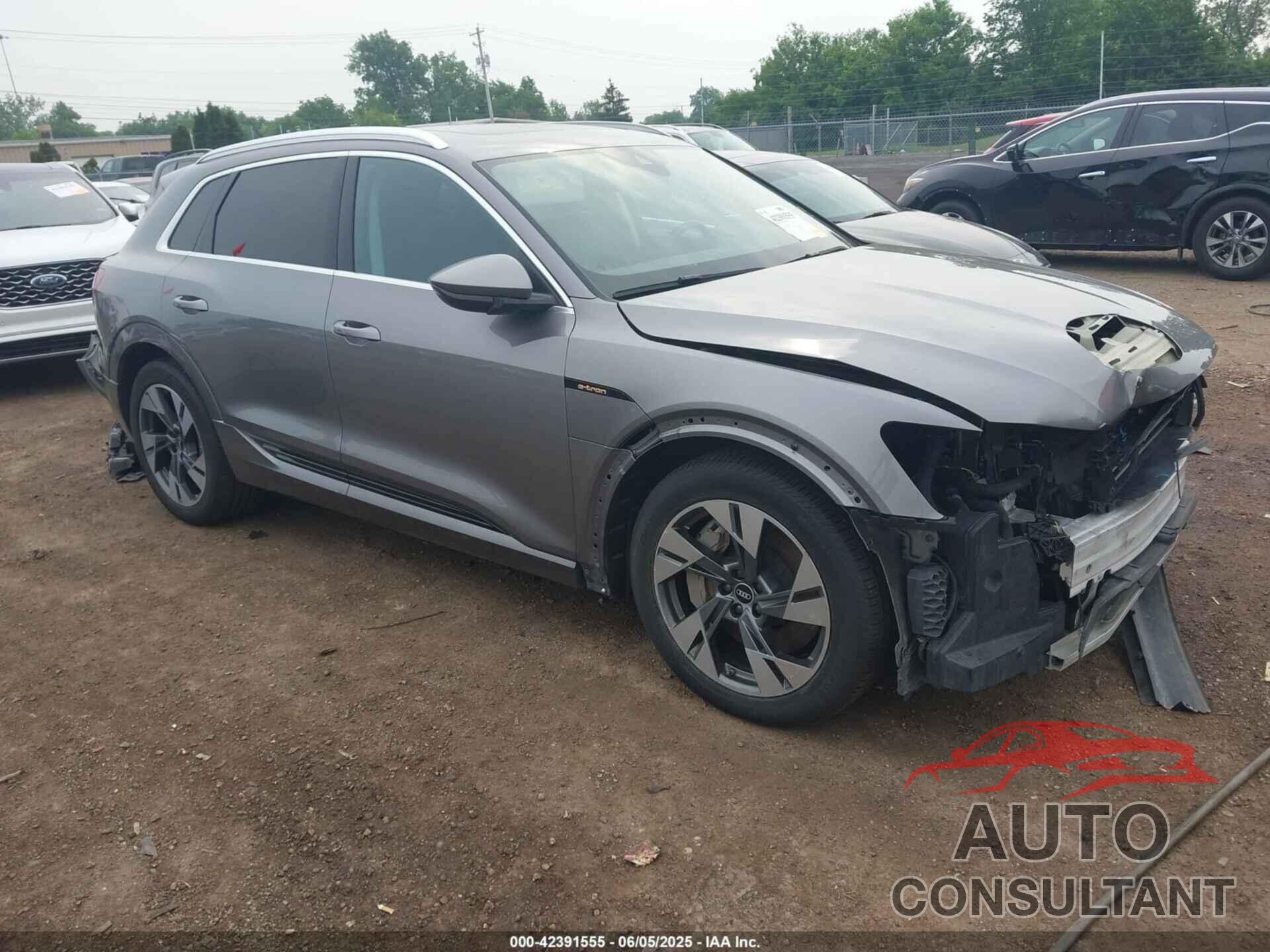 AUDI E-TRON 2022 - WA1AAAGE1NB003892