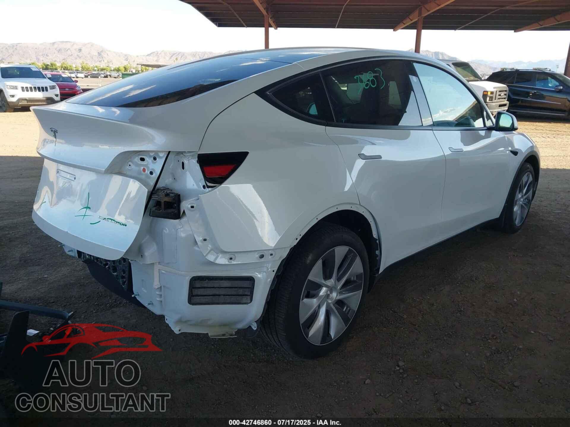 TESLA MODEL Y 2024 - 7SAYGDEE2RA290122