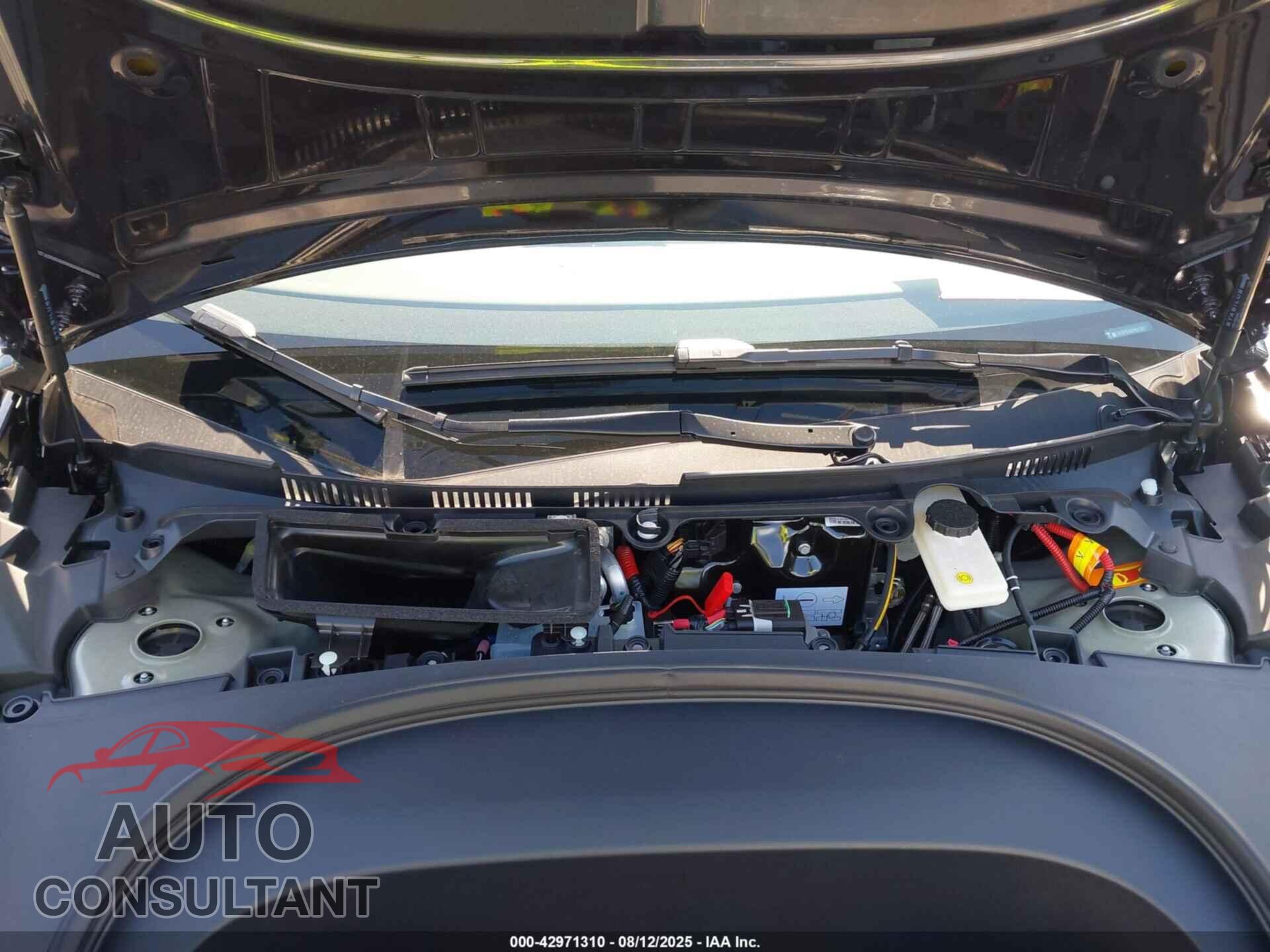 TESLA MODEL 3 2025 - 5YJ3E1EA5SF007357