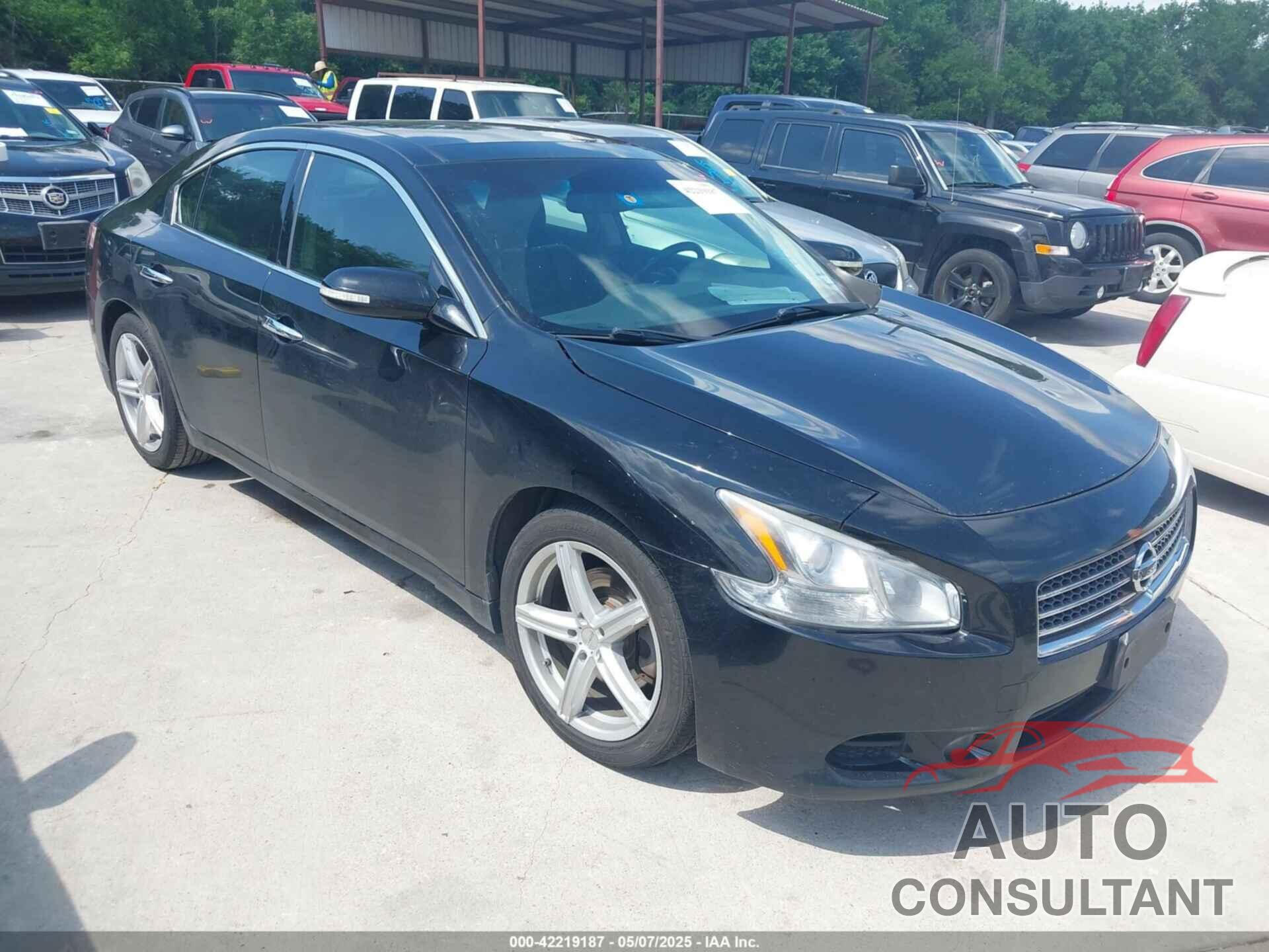 NISSAN MAXIMA 2009 - 1N4AA51EX9C860983
