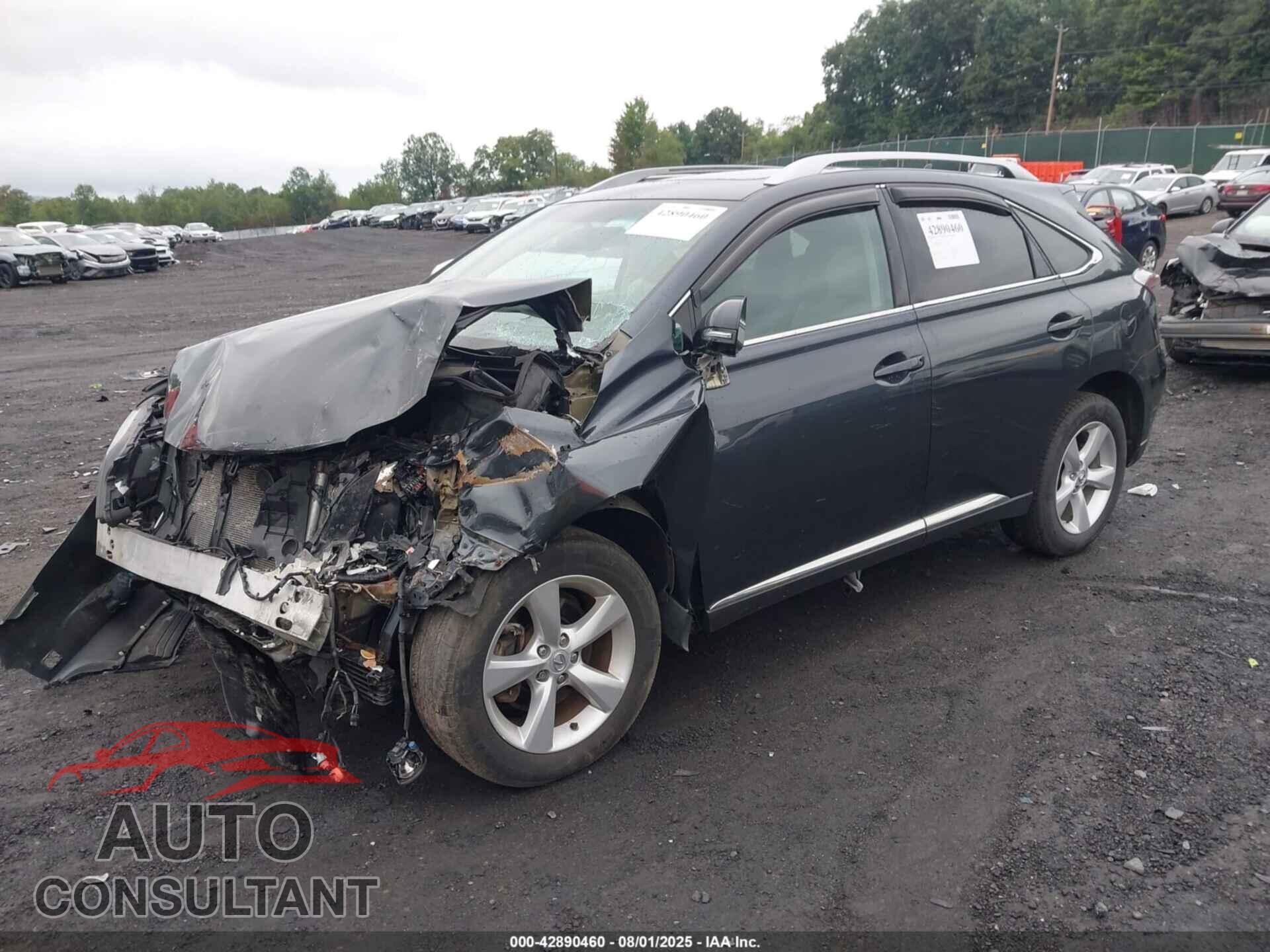 LEXUS RX 2010 - 2T2BK1BAXAC049885