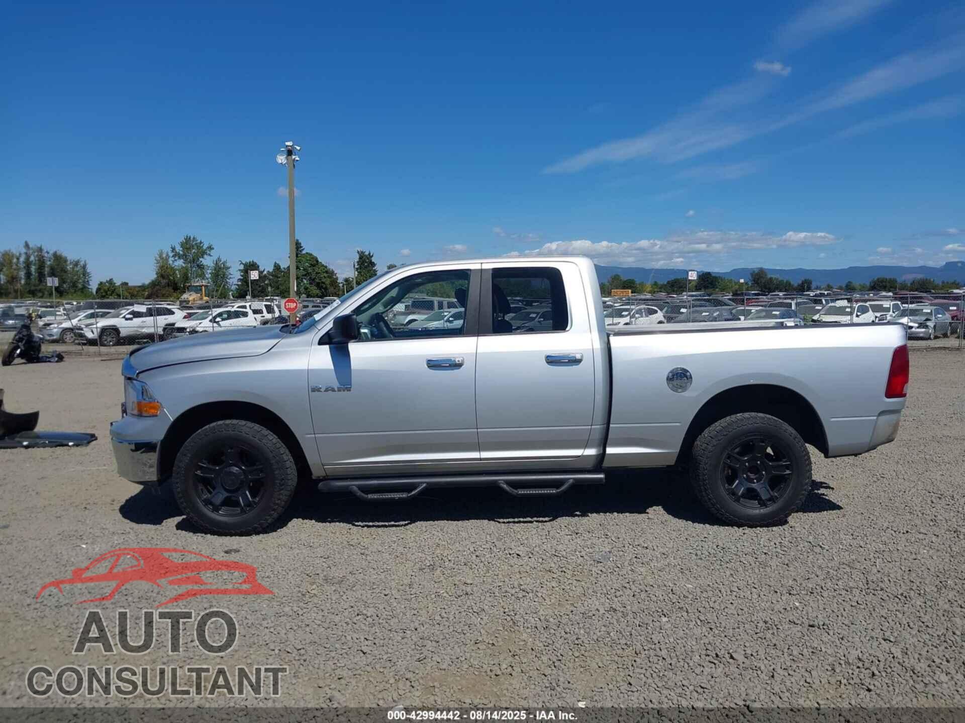 DODGE RAM 1500 2010 - 1D7RV1GP6AS257953