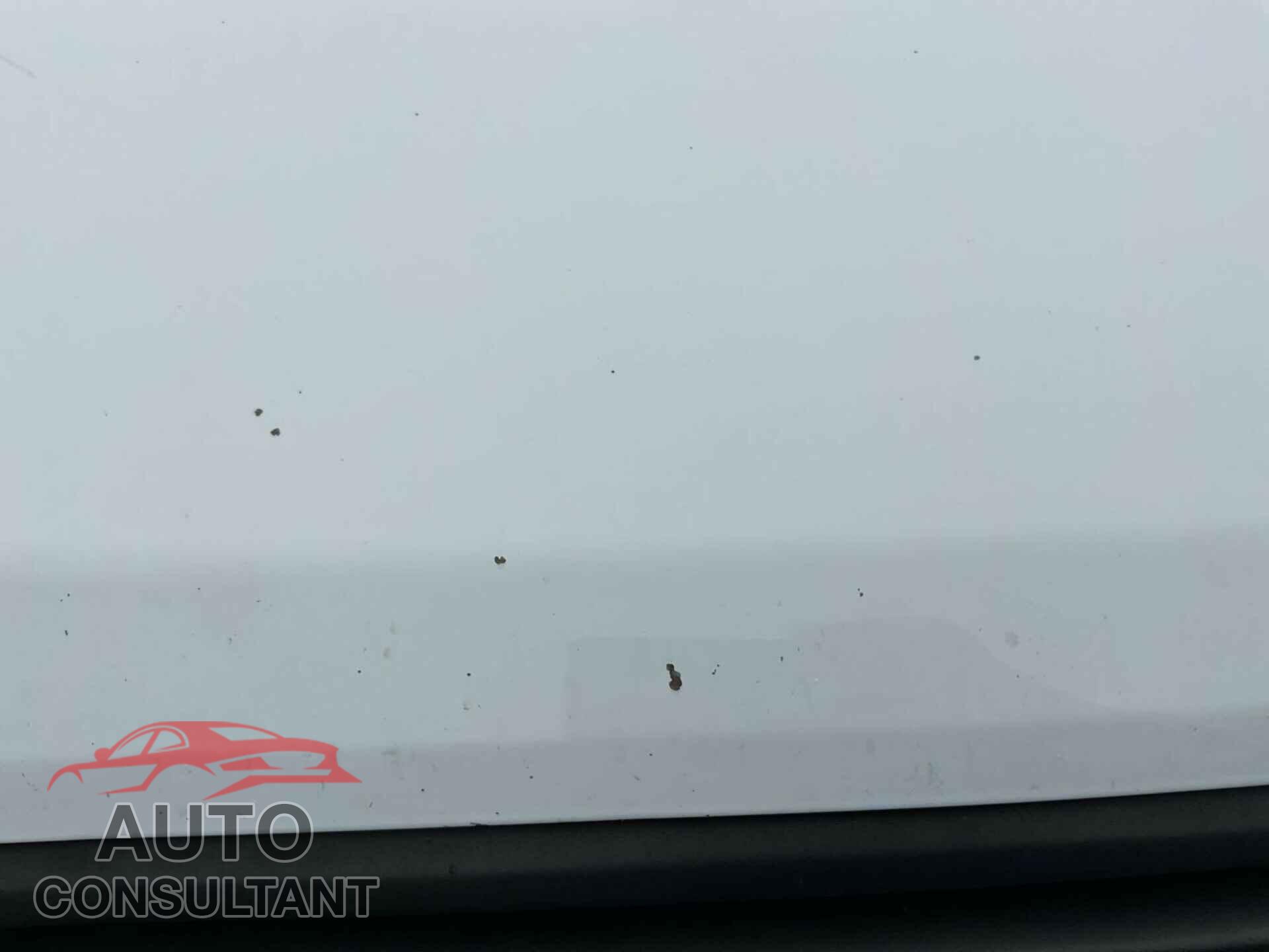 FORD TRANSIT 2019 - 1FTYE1YM0KKB28294